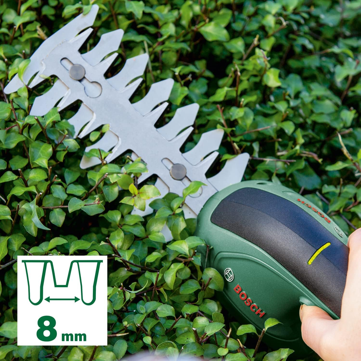Eine Heckenschere schneidet eine Hecke. Die Schere ist grün und schwarz, die Hecke grün.