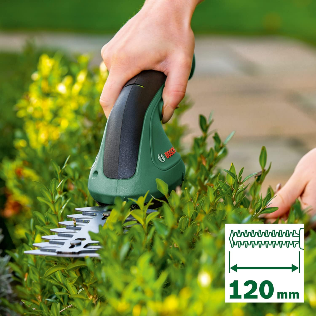 Hände, die eine grüne Heckenschere zum Schneiden einer Hecke benutzen. Ein Diagramm von 120 mm wird gezeigt.