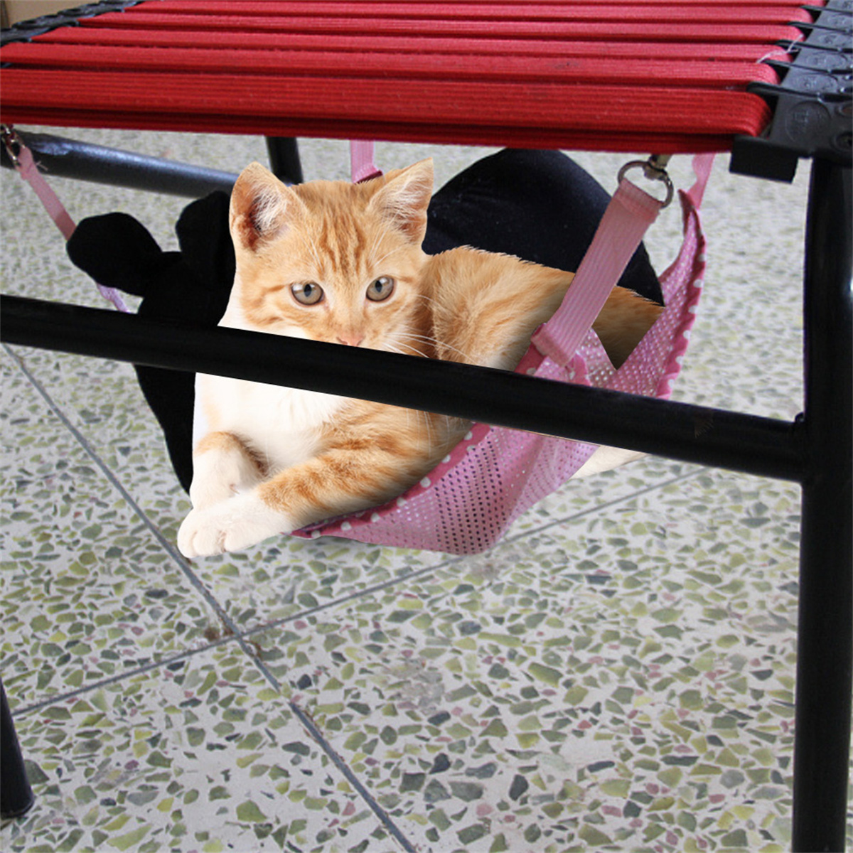 Orangefarbenes Tabby-Kätzchen in einer rosa Hängematte unter einem roten Stuhl.