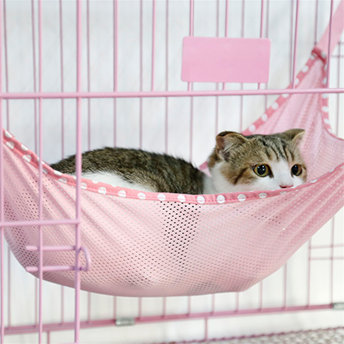 Katze in einer rosa gepunkteten Hängematte in einem rosa Käfig. Die Katze schaut in die Kamera.