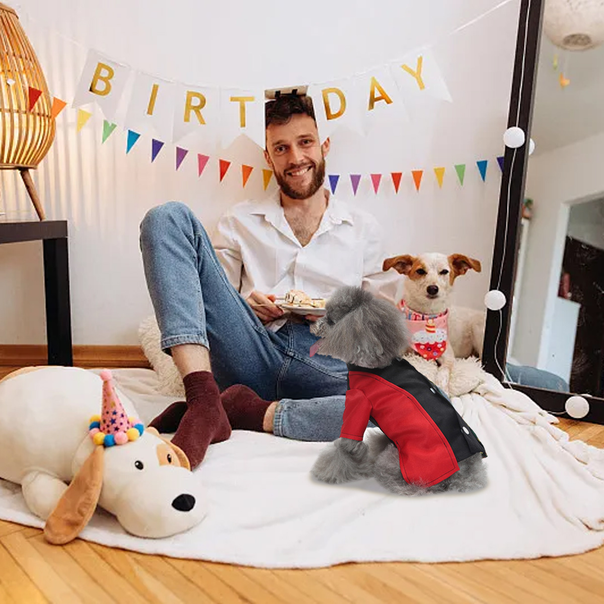 Mann mit Hunden feiert Geburtstag. Banner 'BIRTHDAY', Hund in Jacke, weiße Decke.