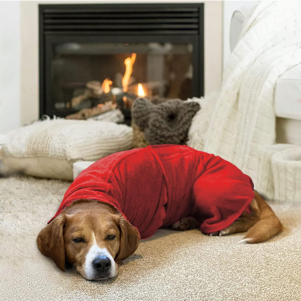 Ein Hund in einem roten Pullover liegt vor einem Kamin auf einem Teppich.