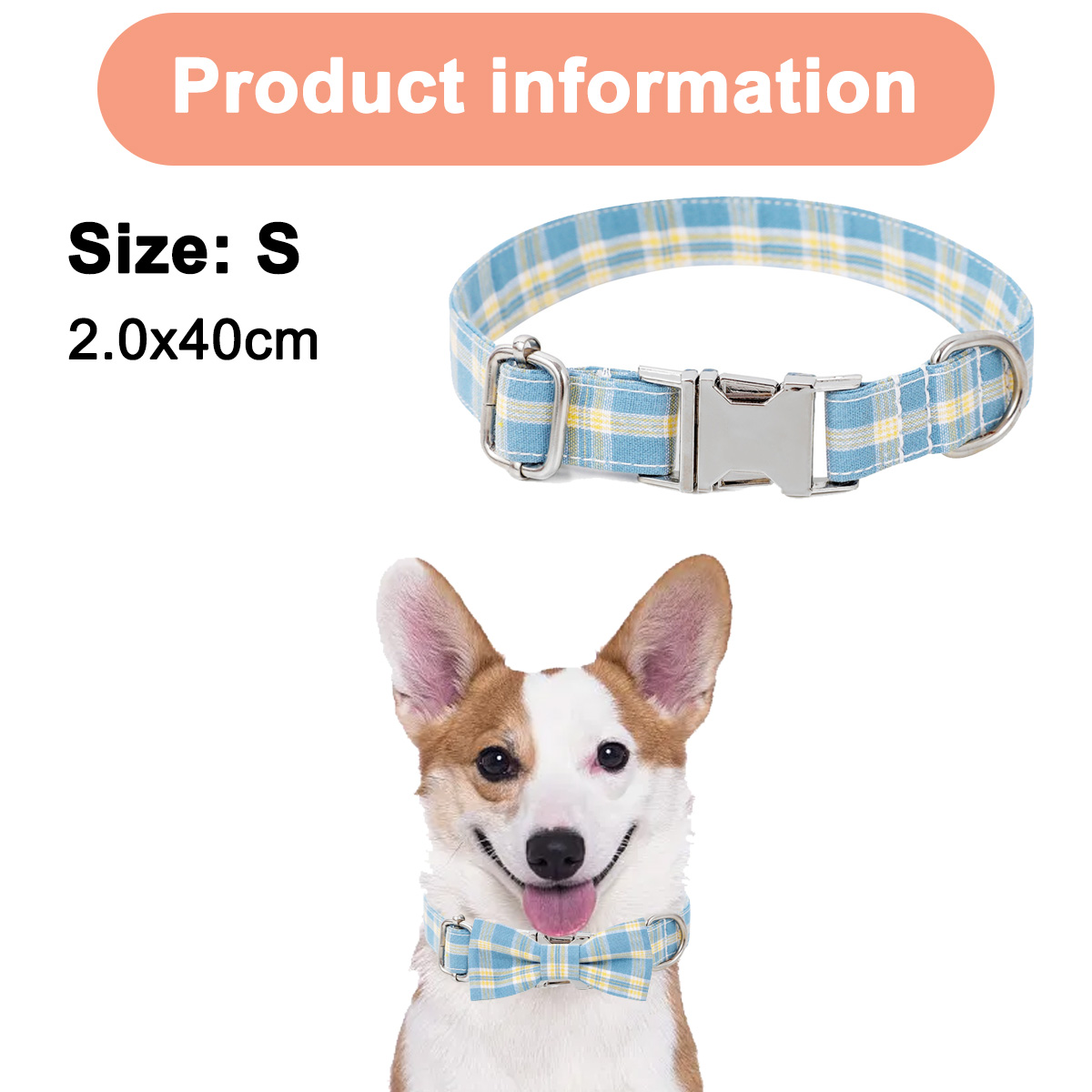 Hund mit blauem kariertem Halsband und Fliege. Produktinformationen mit Größenangaben werden angezeigt.