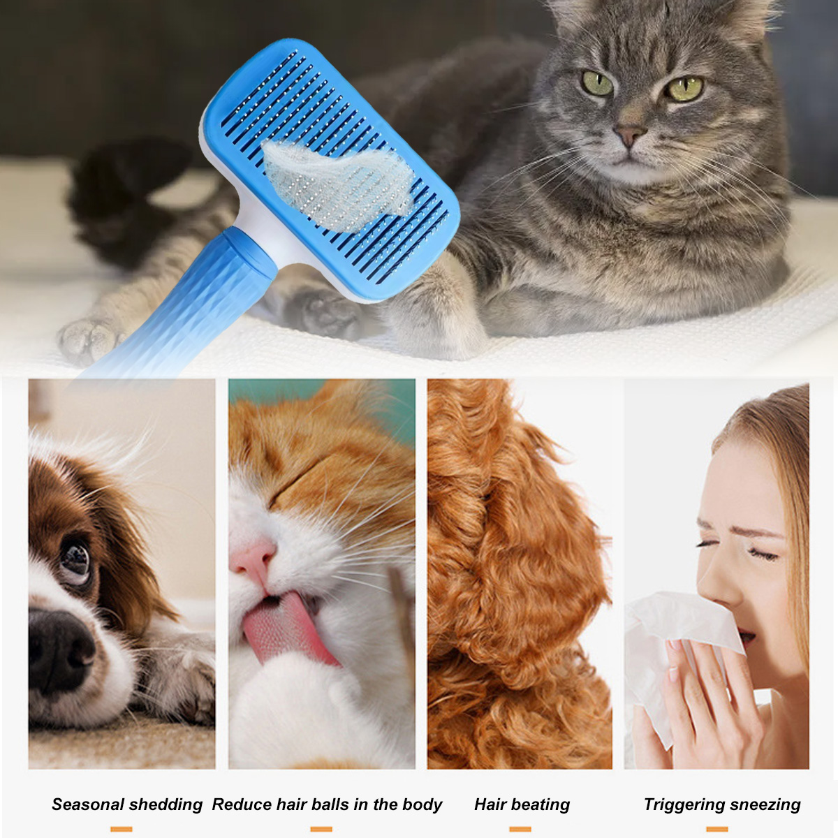 Katze wird mit Bürste gepflegt, Bilder von Hund und zwei Katzen, und eine Person niest. Text: Saisonales Haaren.