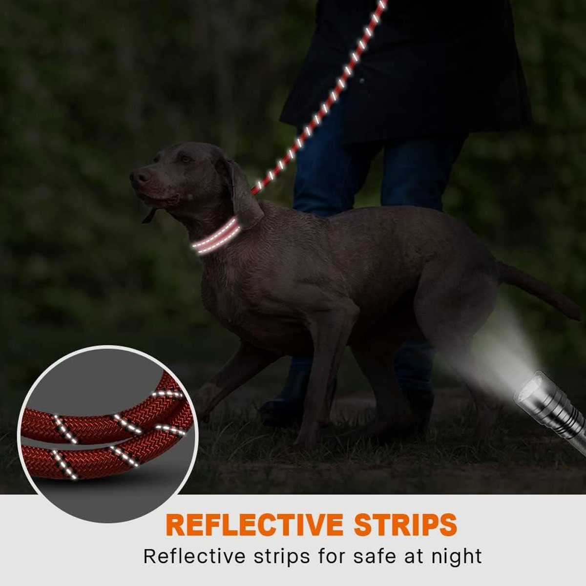 Hund mit reflektierendem Halsband und Leine. Text: 'Reflektierende Streifen für Sicherheit in der Nacht'.