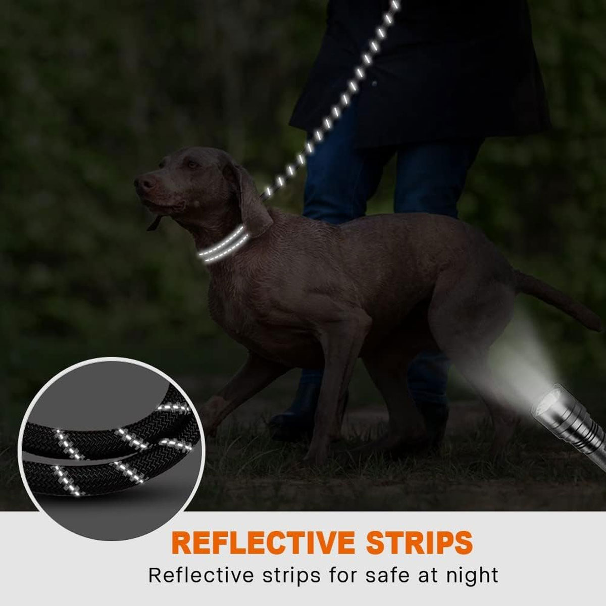Ein Hund und eine Person gehen mit einer reflektierenden Leine, beleuchtet von einer Taschenlampe, zeigt Streifen.