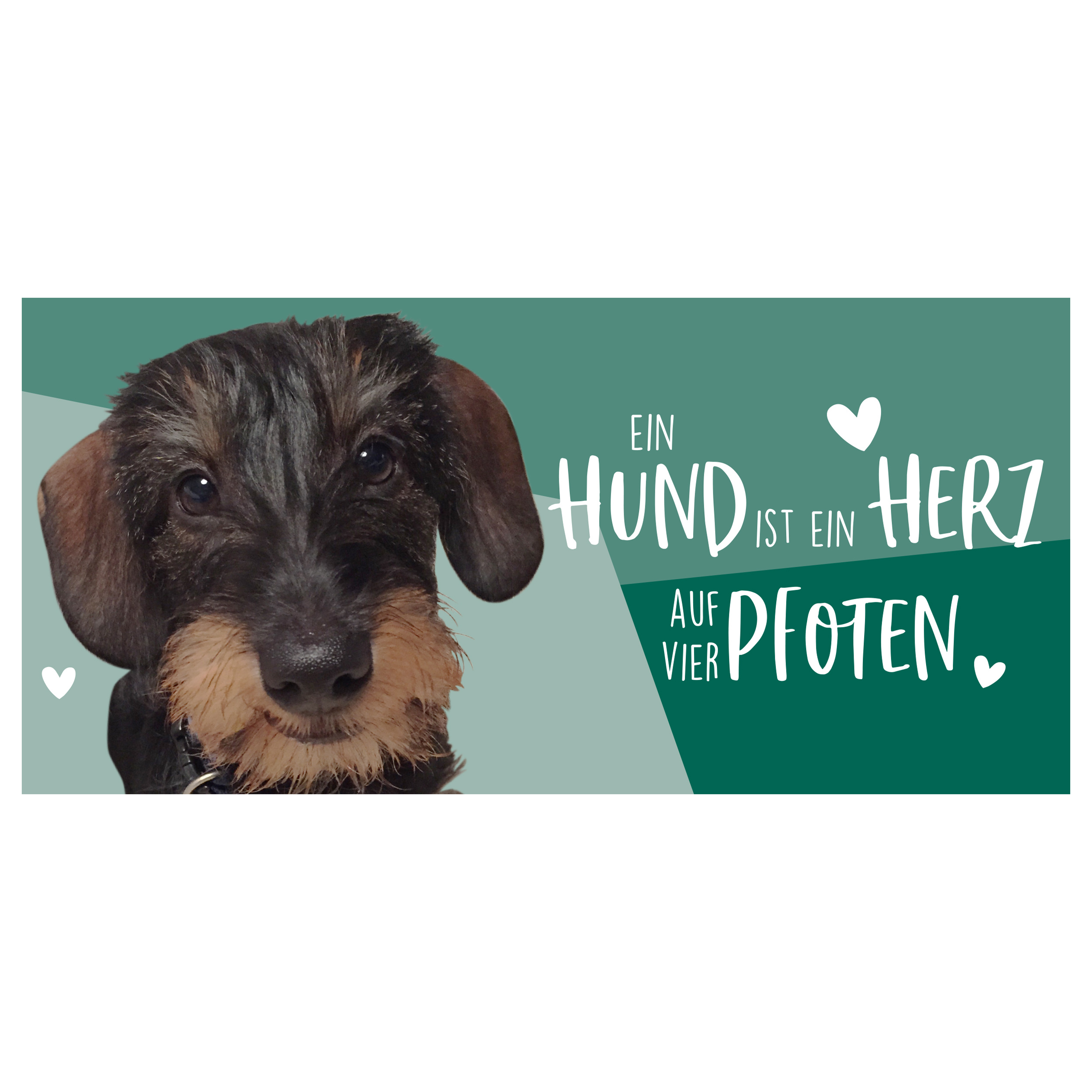Ein Dackel mit dem Text: Ein Hund ist ein Herz auf vier Pfoten, mit Herzen.