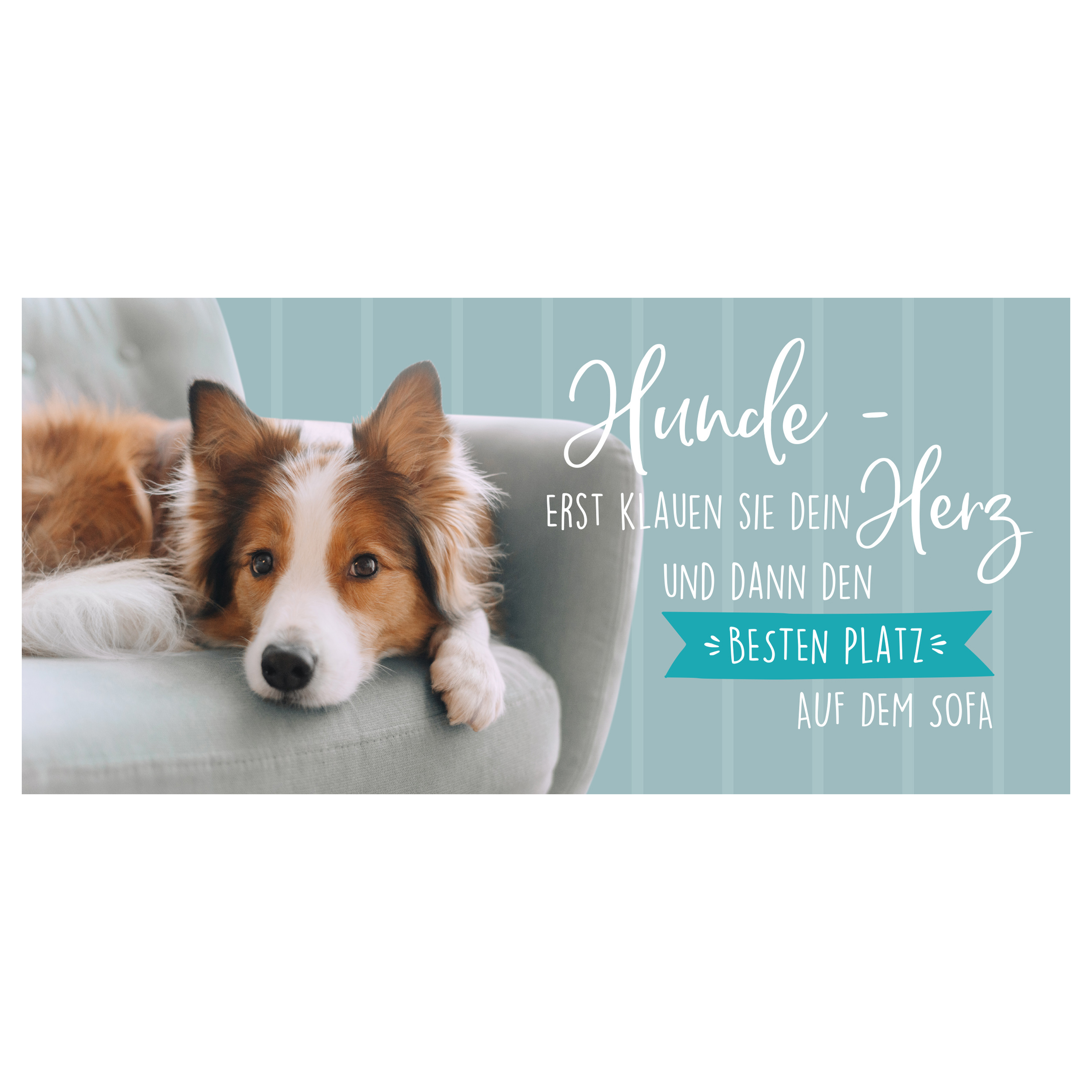 Ein Hund liegt auf einem Stuhl mit deutschem Text: 'Hunde stehlen dein Herz, dann den besten Platz'.
