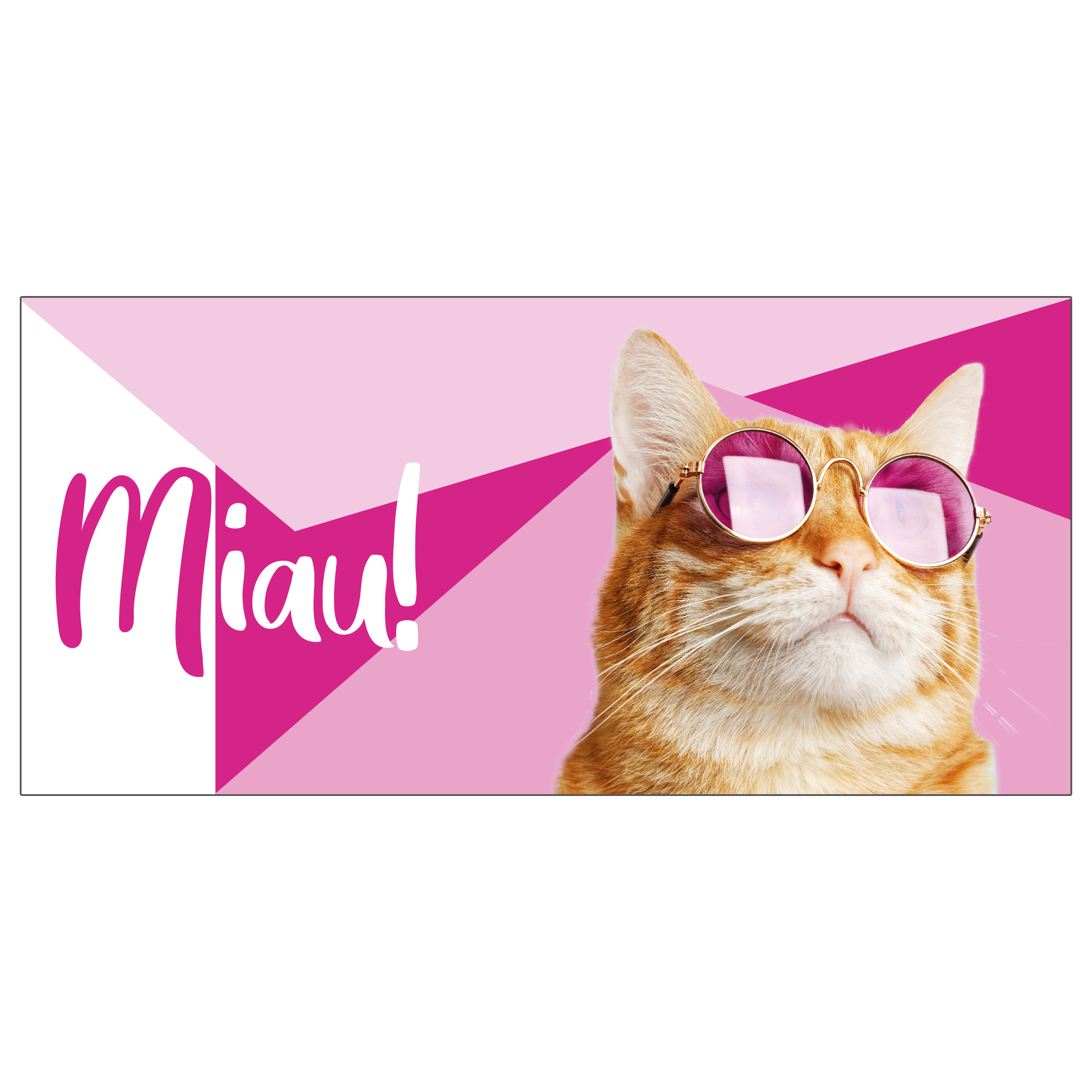 Banner mit einer Katze mit Brille und dem Wort 'Miau!'. Rosa Hintergrund.