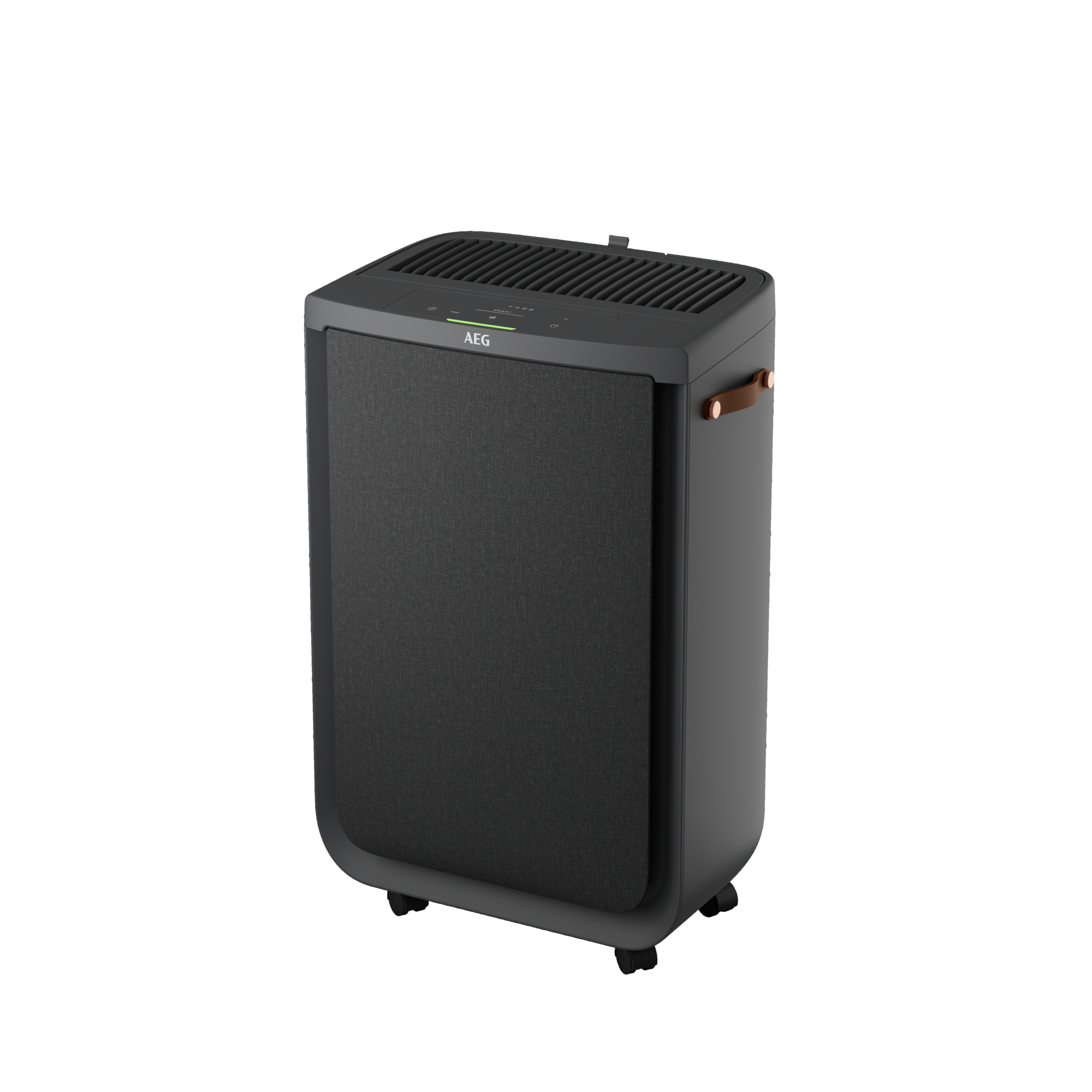 Schwarzer Luftreiniger mit schwarzem Mesh-Filter, braunem Griff und AEG-Logo.