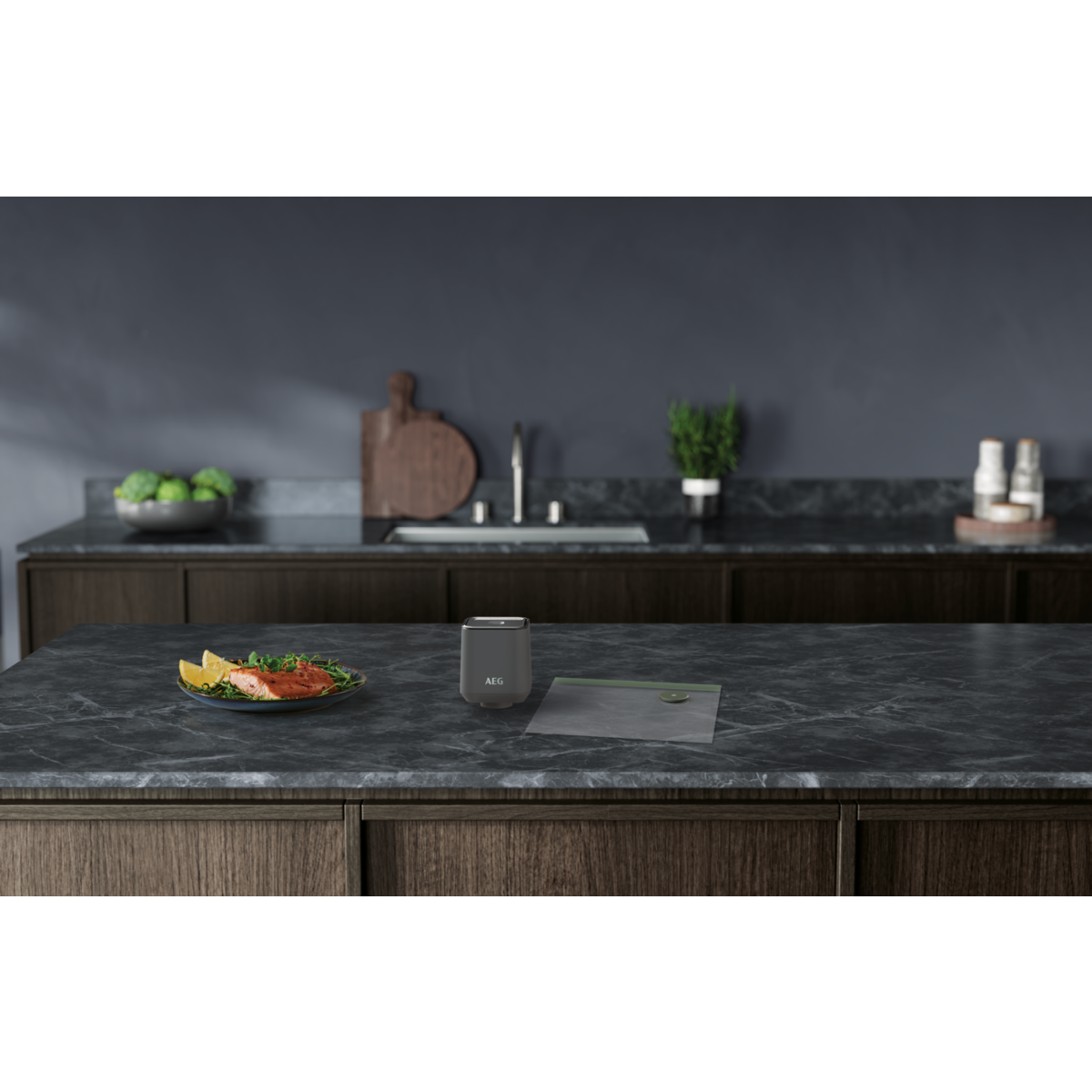 Escena de cocina con encimera, comida y envasadora al vacío. Fondo gris oscuro.