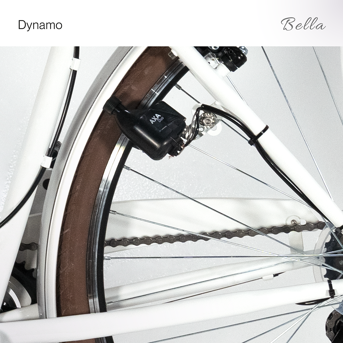 Weißes Fahrradrad mit braunem Reifen. Schwarzer Dynamo und Kabel sichtbar. Hintergrund ist weiß.