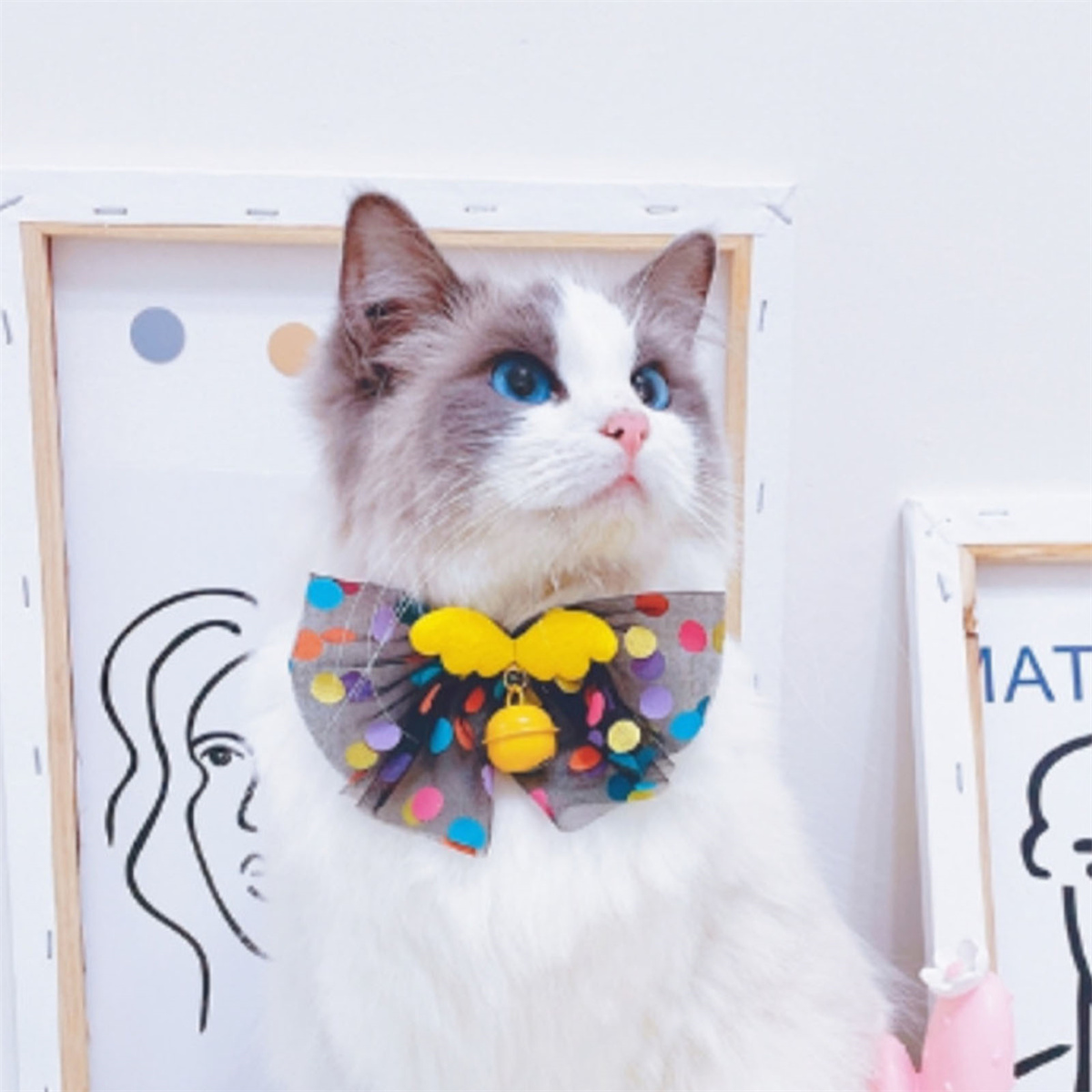 Katze mit Fliege. Katze ist weiß und grau mit blauen Augen. Fliege ist bunt.