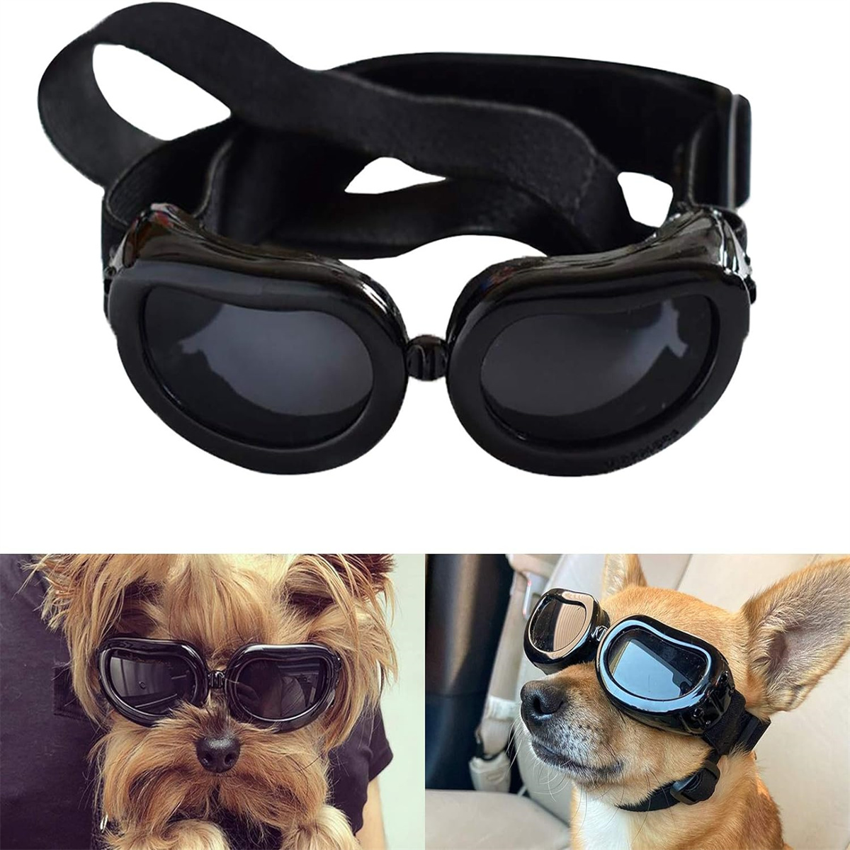 Hundebrille: Schwarze Sonnenbrille mit Band, auf Hunden. Drei Bilder.