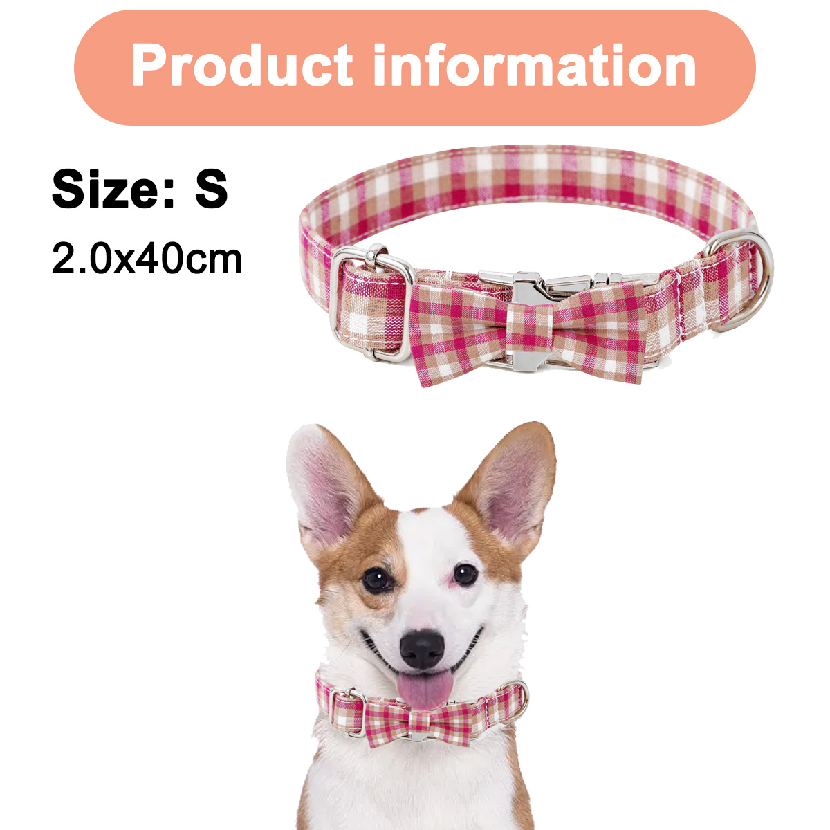 Ein Hund mit rosa-weiß kariertem Halsband und Fliege.