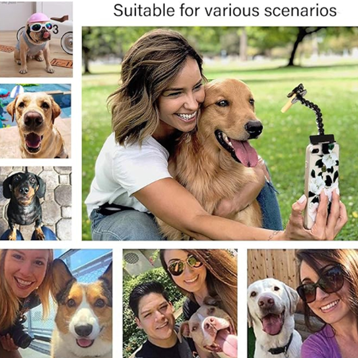 Eine Frau umarmt einen Hund. Andere Fotos zeigen Hunde und eine Frau, die Selfies mit Hunden macht.