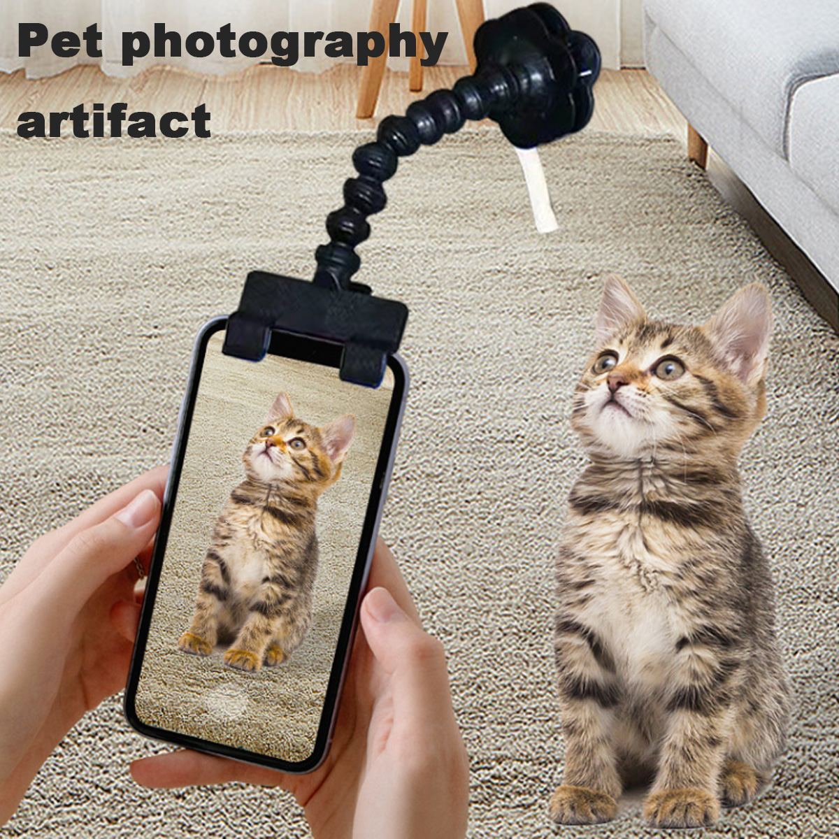 Eine Katze blickt auf ein Telefon. Das Telefon zeigt das Foto der Katze.