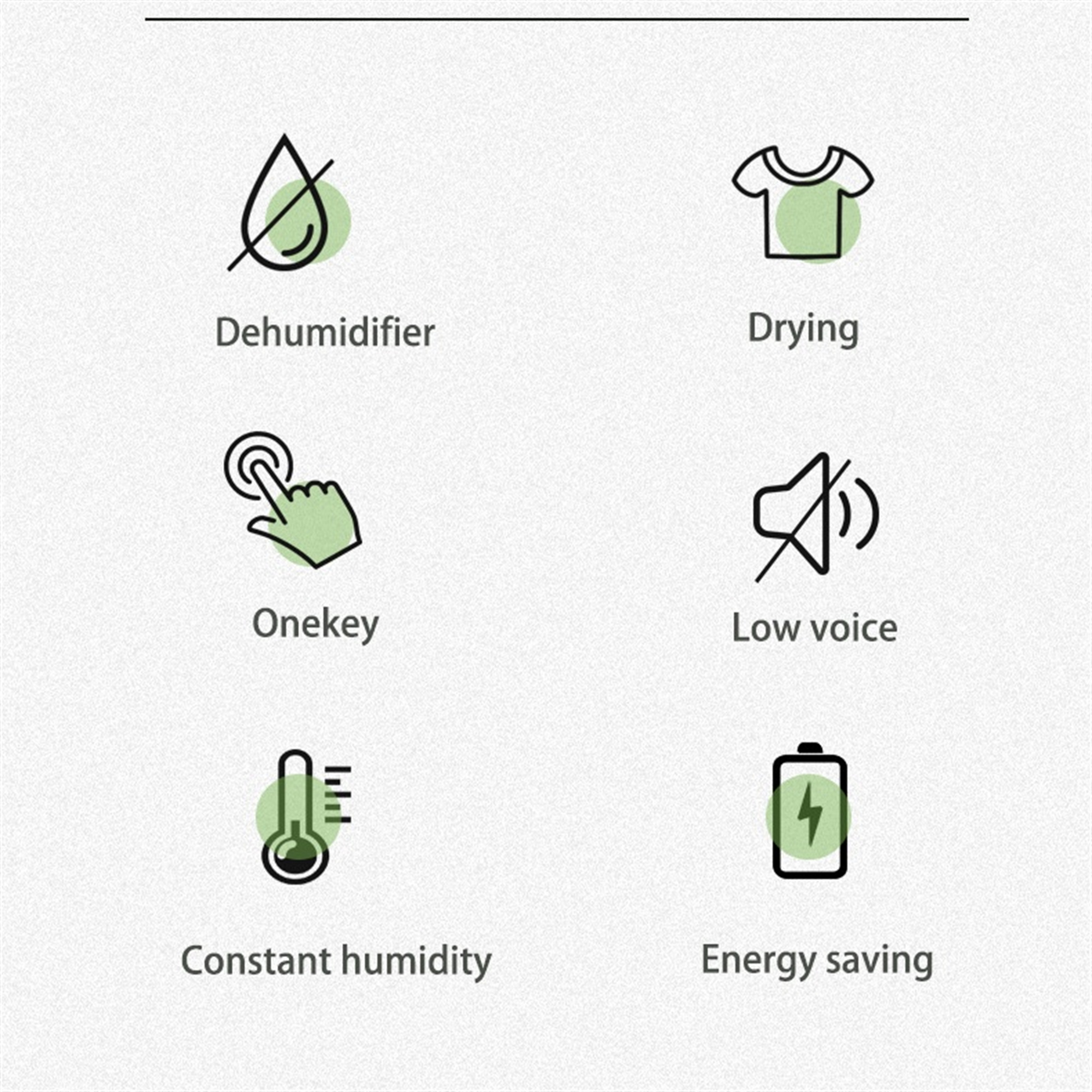 Symbole: Luftentfeuchter, Trocknen, eine Taste, leise Stimme, konstante Luftfeuchtigkeit, Energiesparen. Alles in Grün.