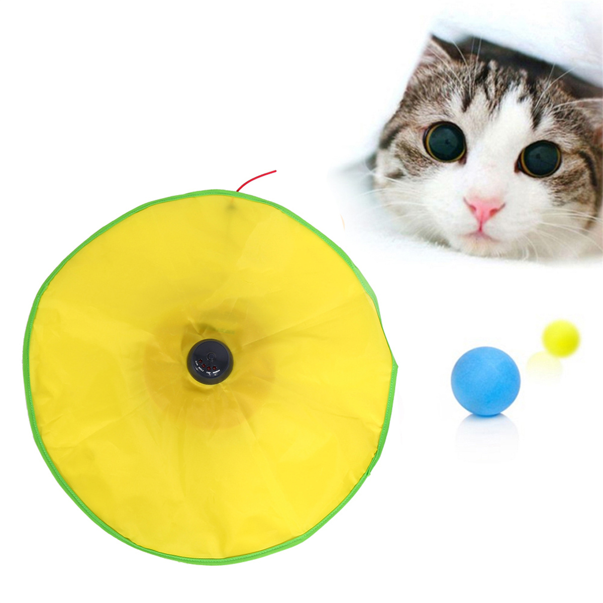 Ein gelber Katzentunnel mit grünem Rand. Eine Katze schaut heraus. Zwei Bälle befinden sich neben dem Tunnel.