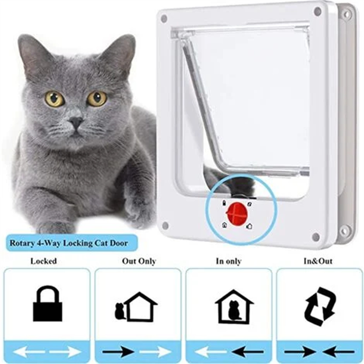 Eine graue Katze, die eine Katzentür mit 4-Wege-Verriegelung betrachtet.