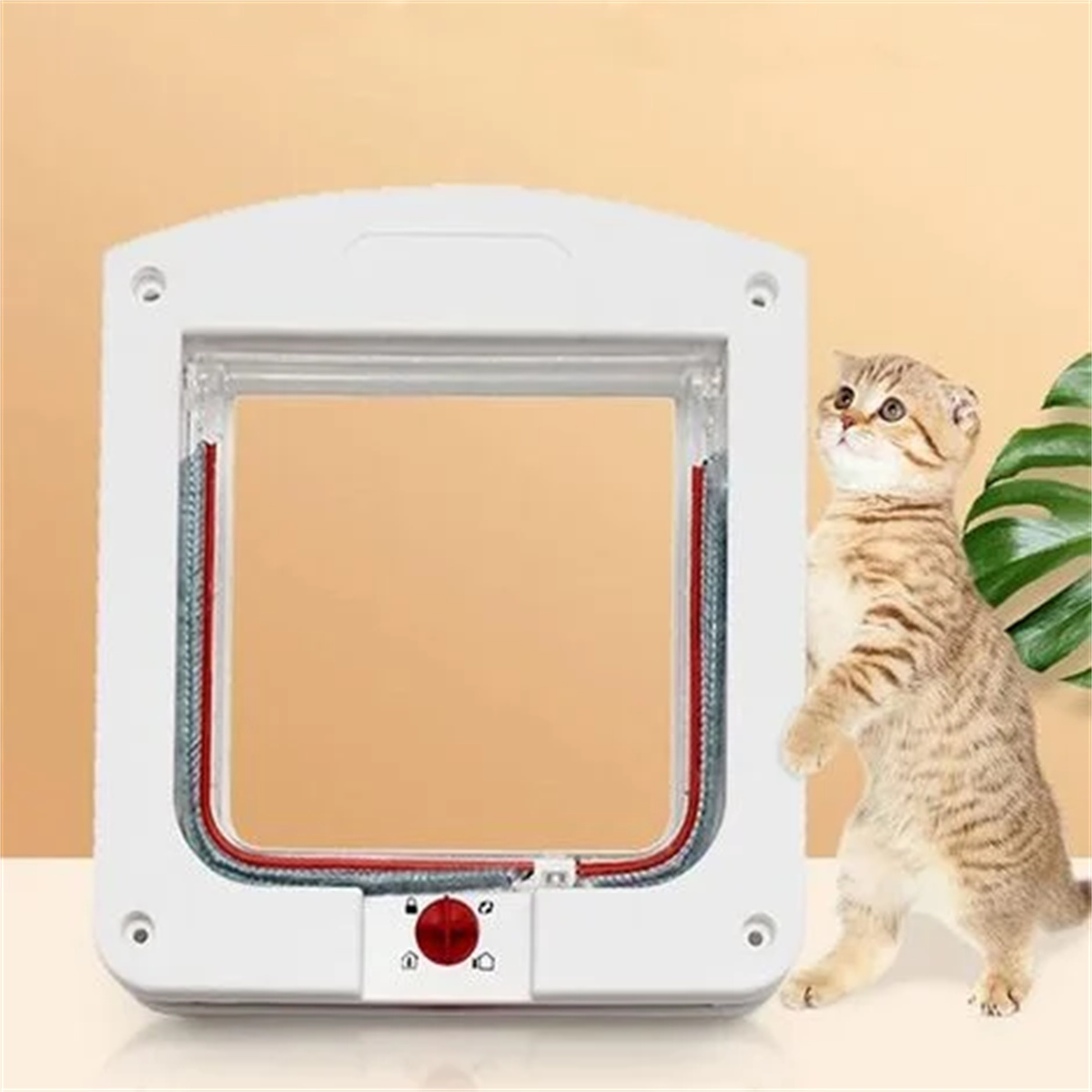 Eine Katze steht neben einer weißen Katzentür und schaut nach oben. Die Tür ist offen.