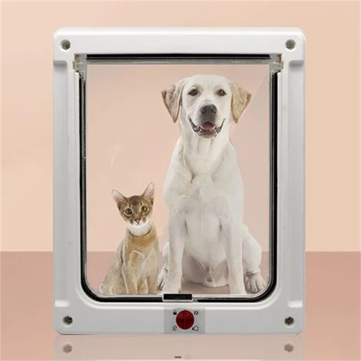 Ein Hund und eine Katze schauen durch eine Haustiertür. Der Hund ist weiß, die Katze ist hellbraun.