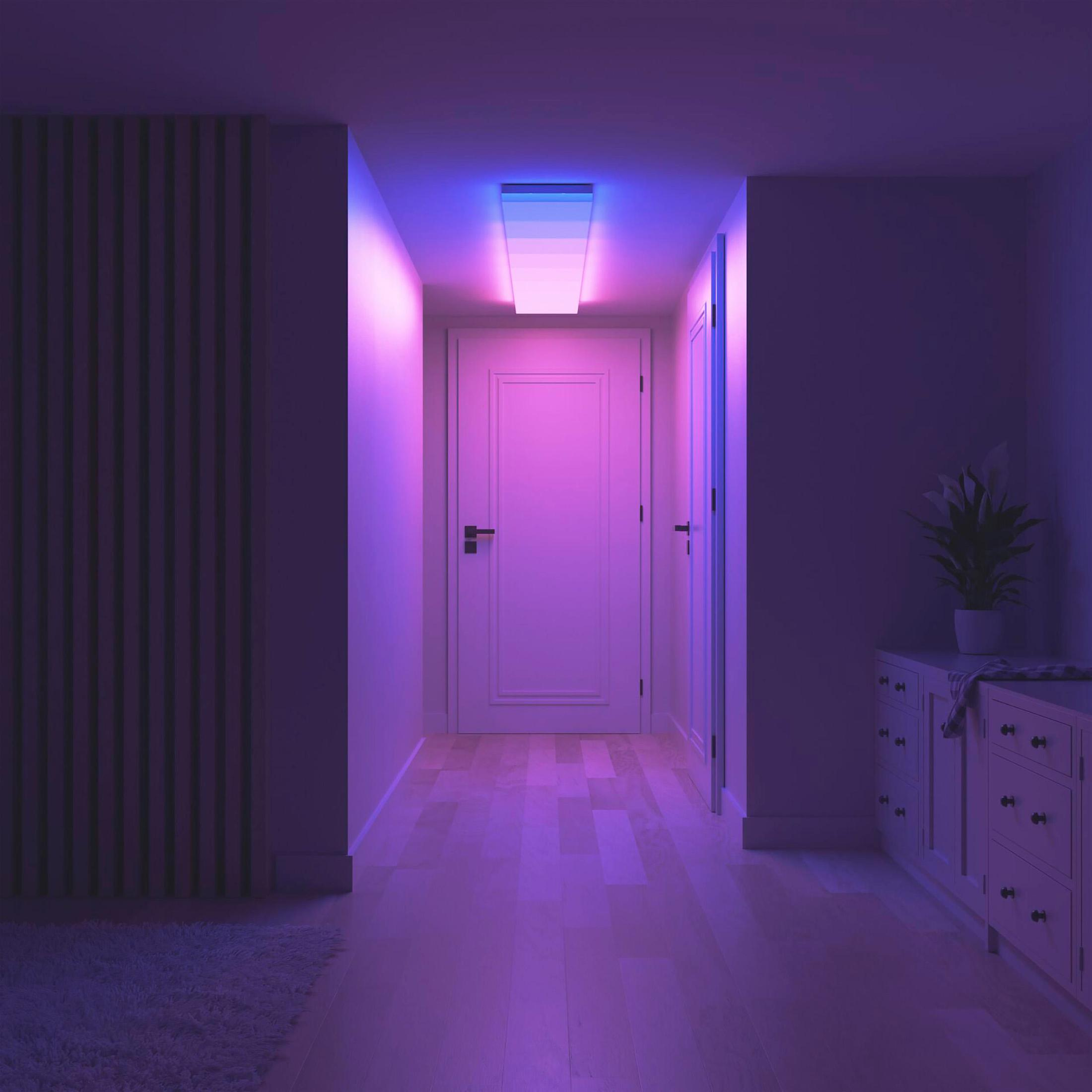 Hallway lit by purple lights. White doors and a white cabinet with a plant.