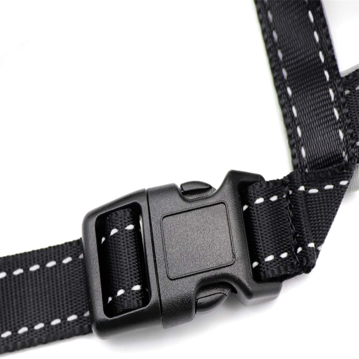 Schwarze Hundehalsbandschnalle mit weißen Nähten, isoliert auf Weiß.
