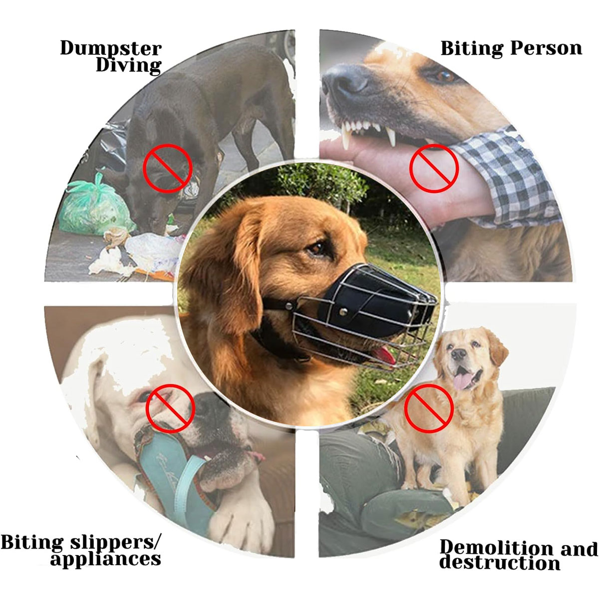 Das Bild zeigt Hunde mit Maulkorb, beschriftet mit Aktionen wie Beißen, Mülltauchen und Zerstörung.