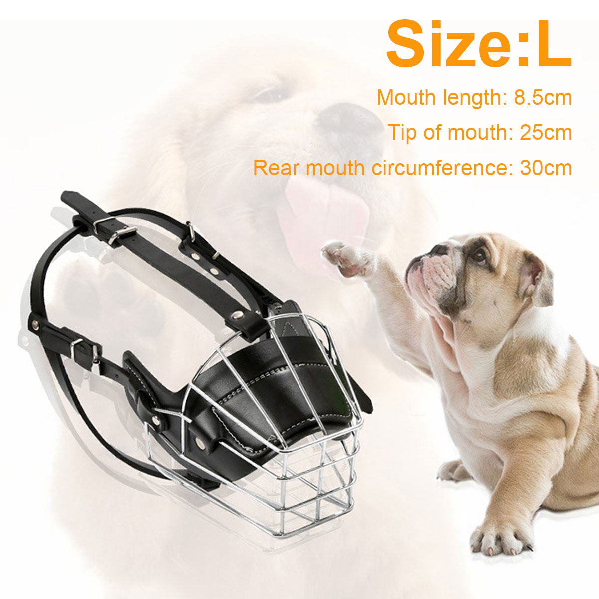 Ein Maulkorb und ein Bulldoggen-Welpe. Der Maulkorb ist schwarz und silber. Der Welpe ist hellbraun und weiß.