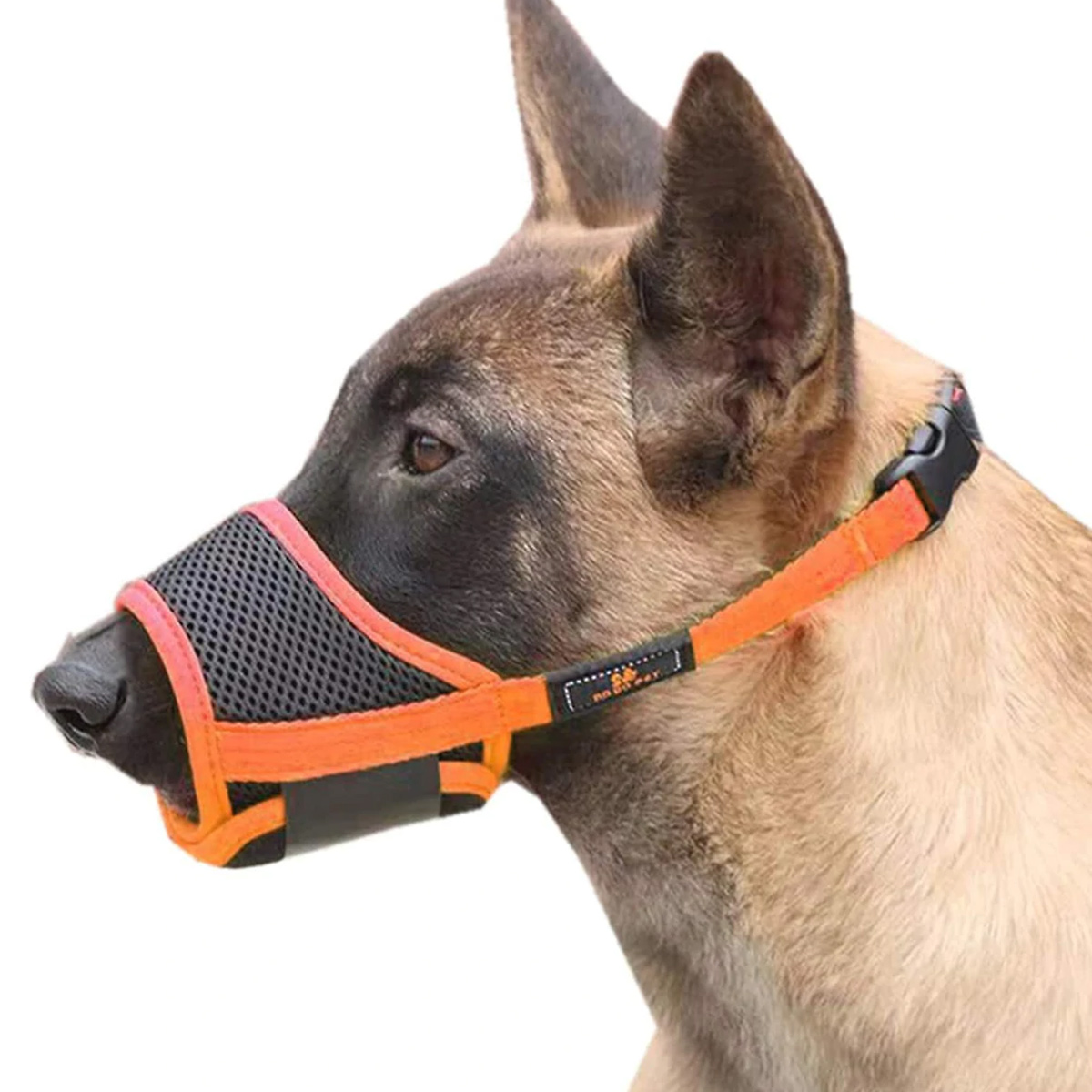 Ein Hund mit einem orange-schwarzen Maulkorb. Der Hund ist braun und hellbraun.