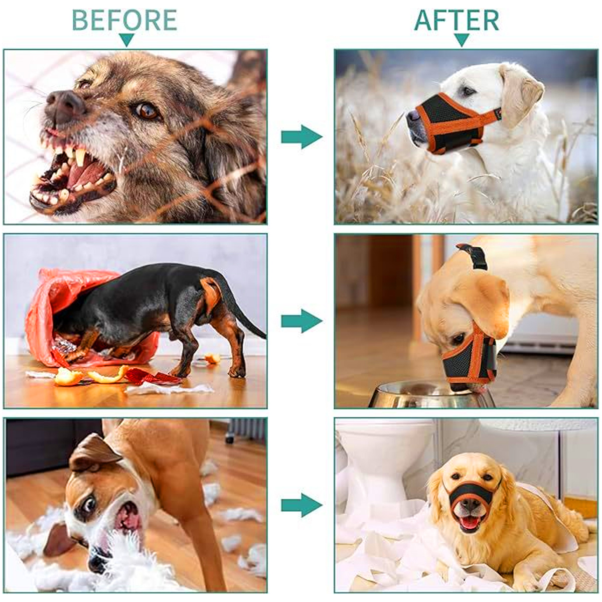 Bilder zeigen Hunde vor und nach der Verwendung von Maulschlaufen. Vorher: Beißen. Nachher: Ruhig mit Maulschlaufe.