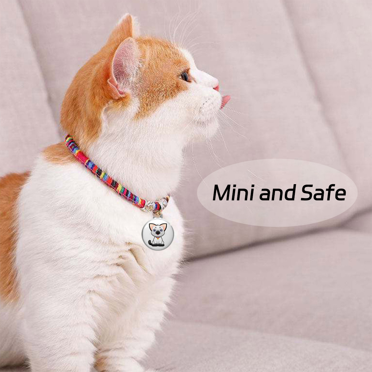 Eine Katze mit einem Halsband mit der Aufschrift 'Mini and Safe'. Die Katze ist orange und weiß.