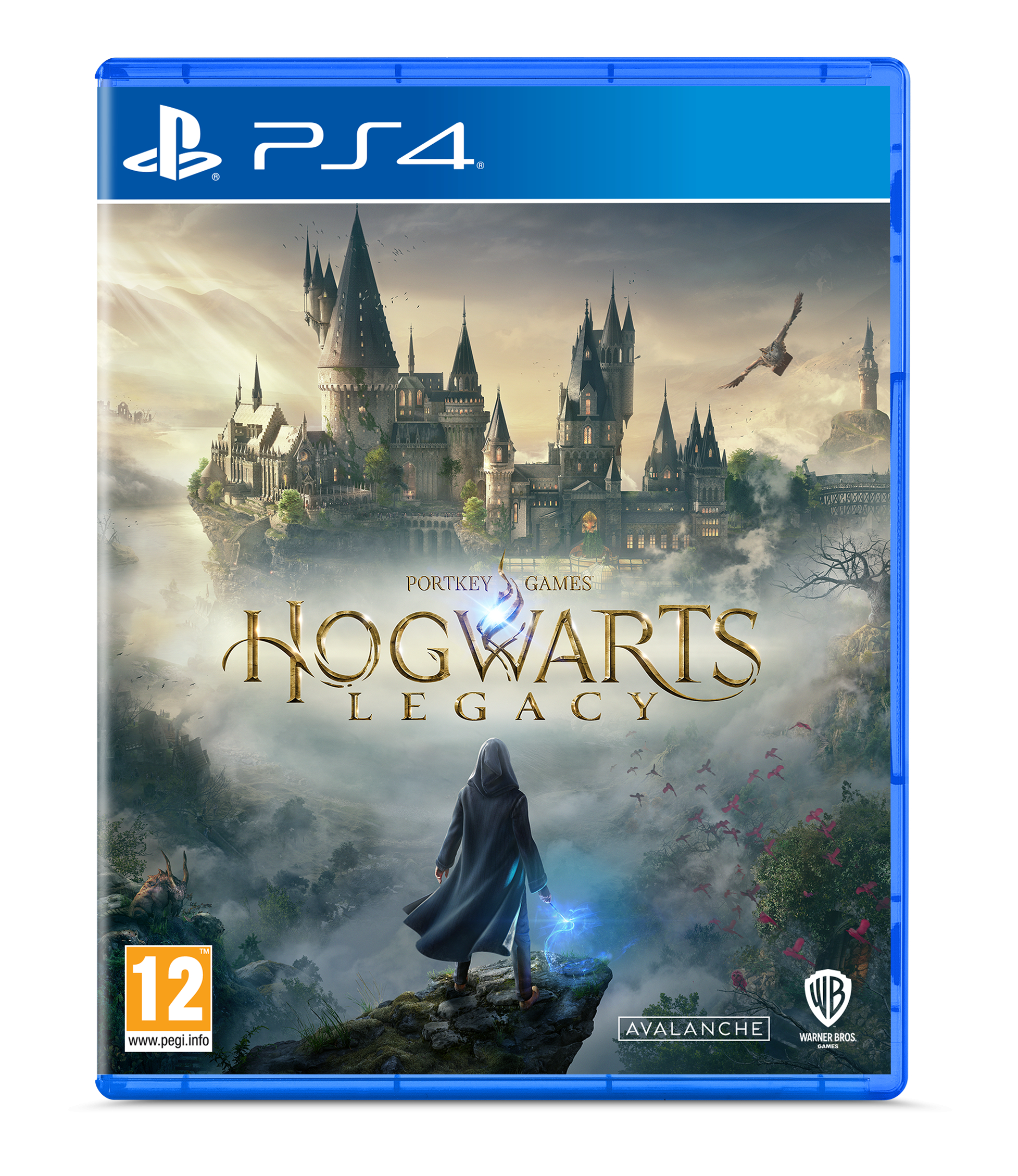 Una custodia per giochi PS4 con un castello e una figura con una bacchetta. Il titolo è "Hogwarts Legacy".