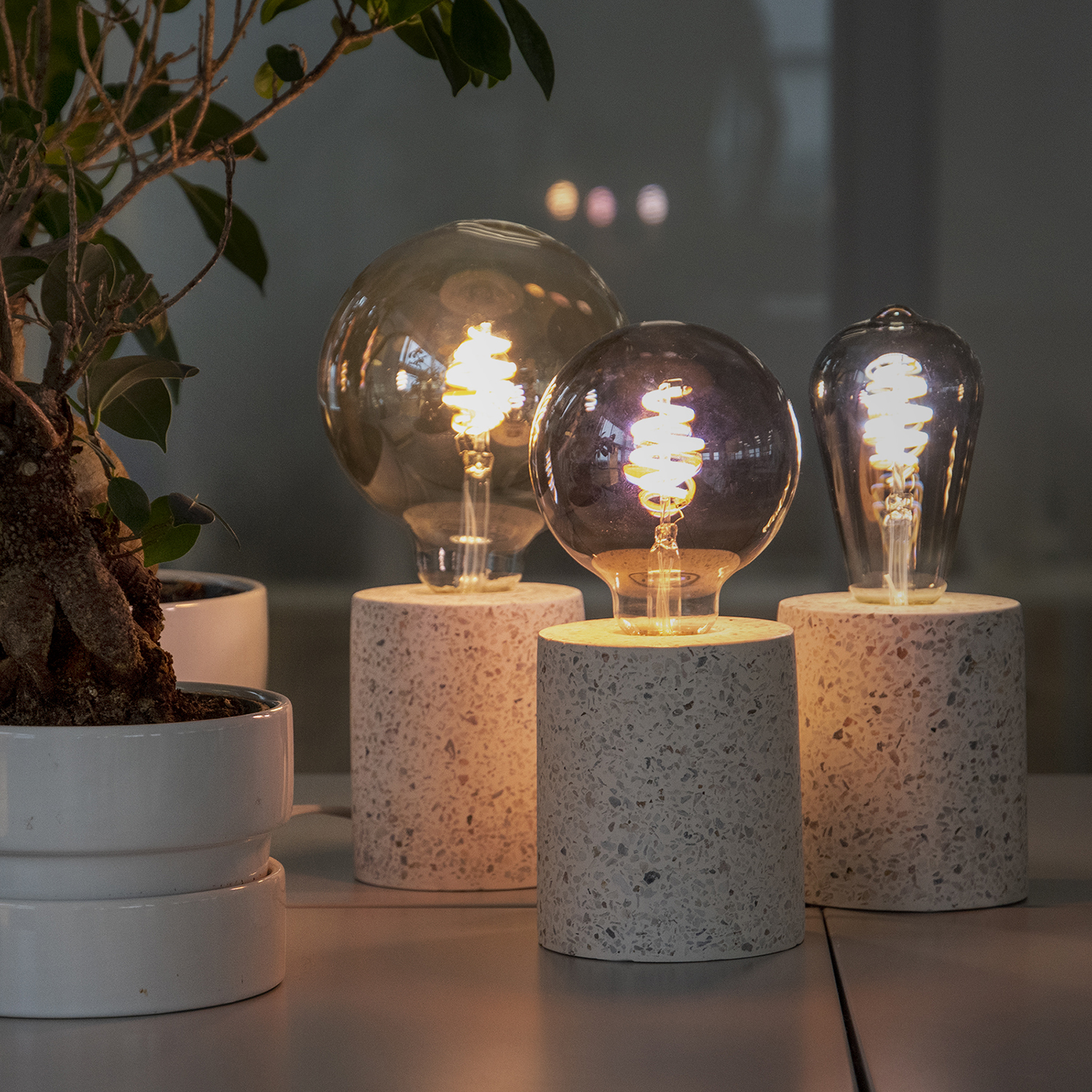 Trzy świecące żarówki na betonowych podstawach, z rośliną i rozmytym oknem w tle.