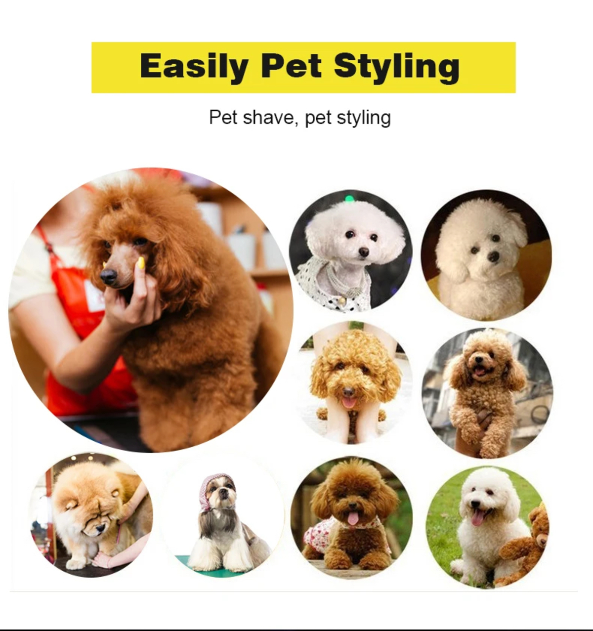 Collage von Hunden mit verschiedenen Frisuren. Text lautet 'Easily Pet Styling' und 'Pet shave, pet styling'.
