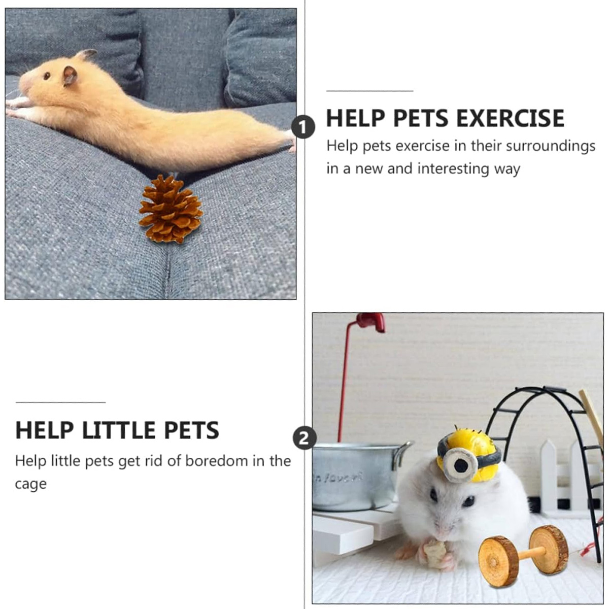 Hamster auf Sofa mit Tannenzapfen. Anderes Bild zeigt Hamster mit Zubehör.