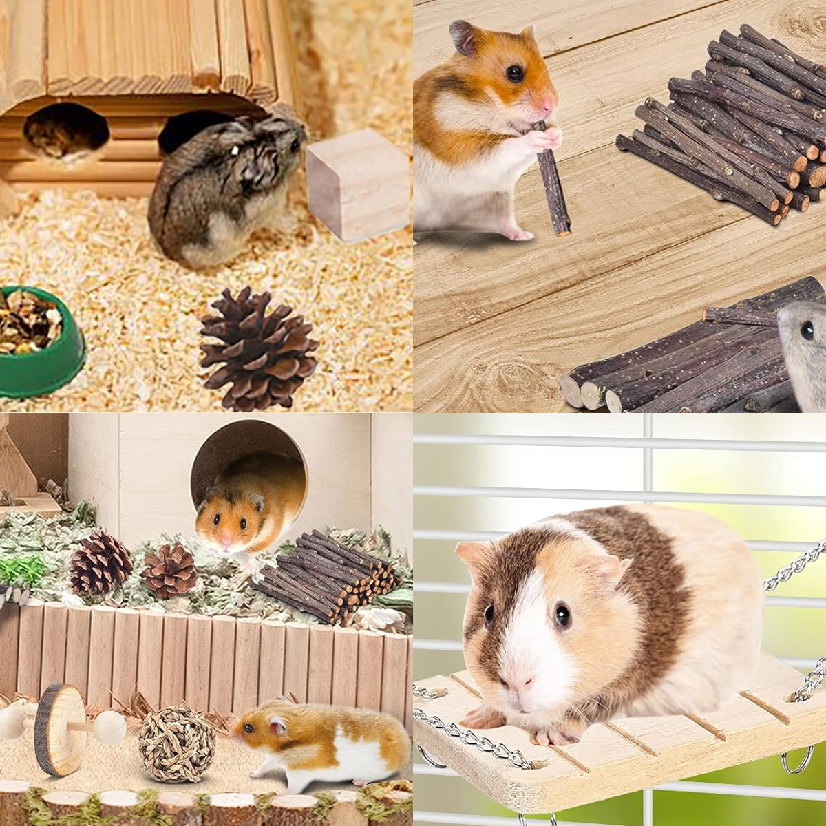 Hamster in einem Habitat. Enthält Holzhäuser, Futternäpfe, Holzstäbe und ein Meerschweinchen auf einer Schaukel.