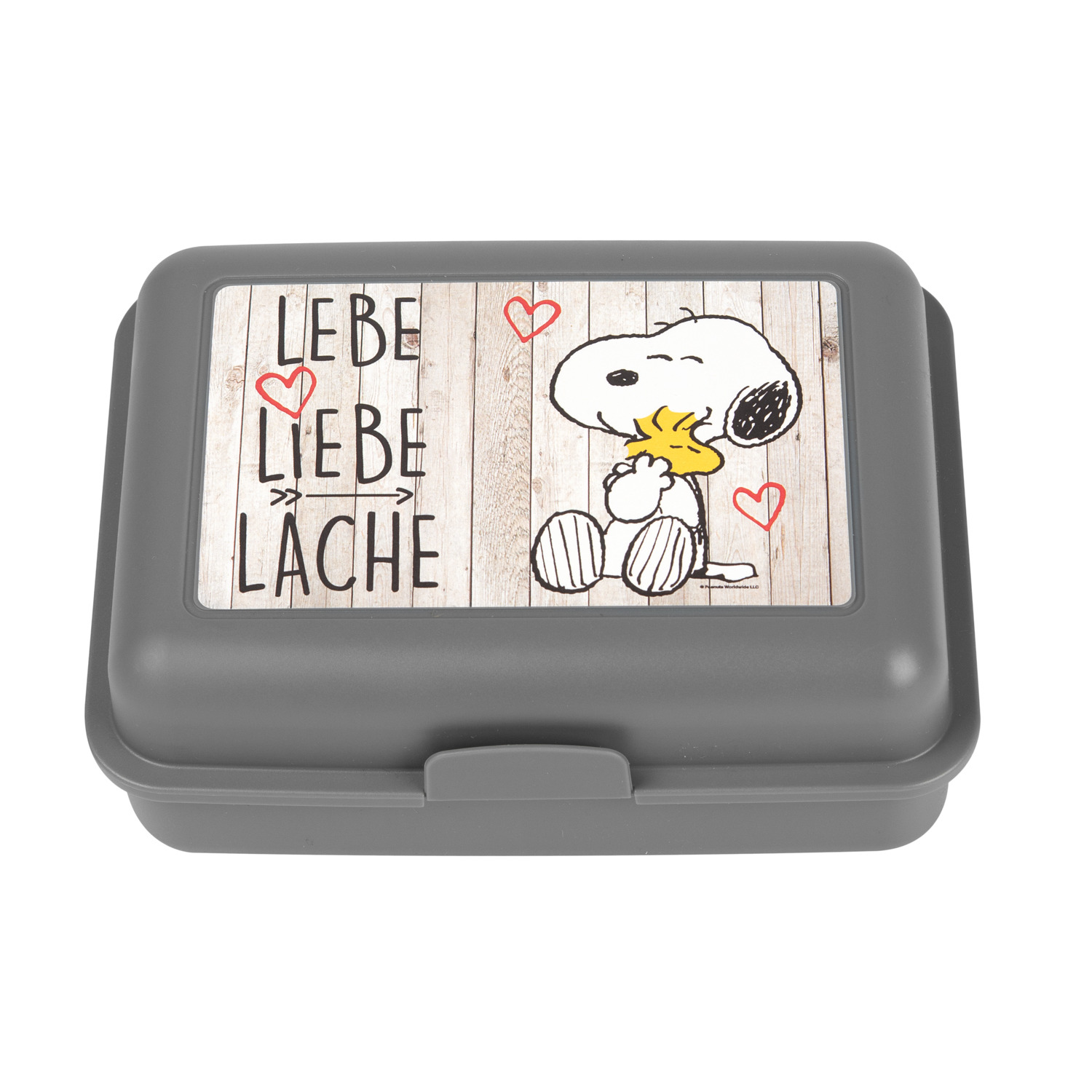 Eine graue Brotdose mit Snoopy und dem Text 'LEBE LIEBE LACHE' auf Holzgrund.