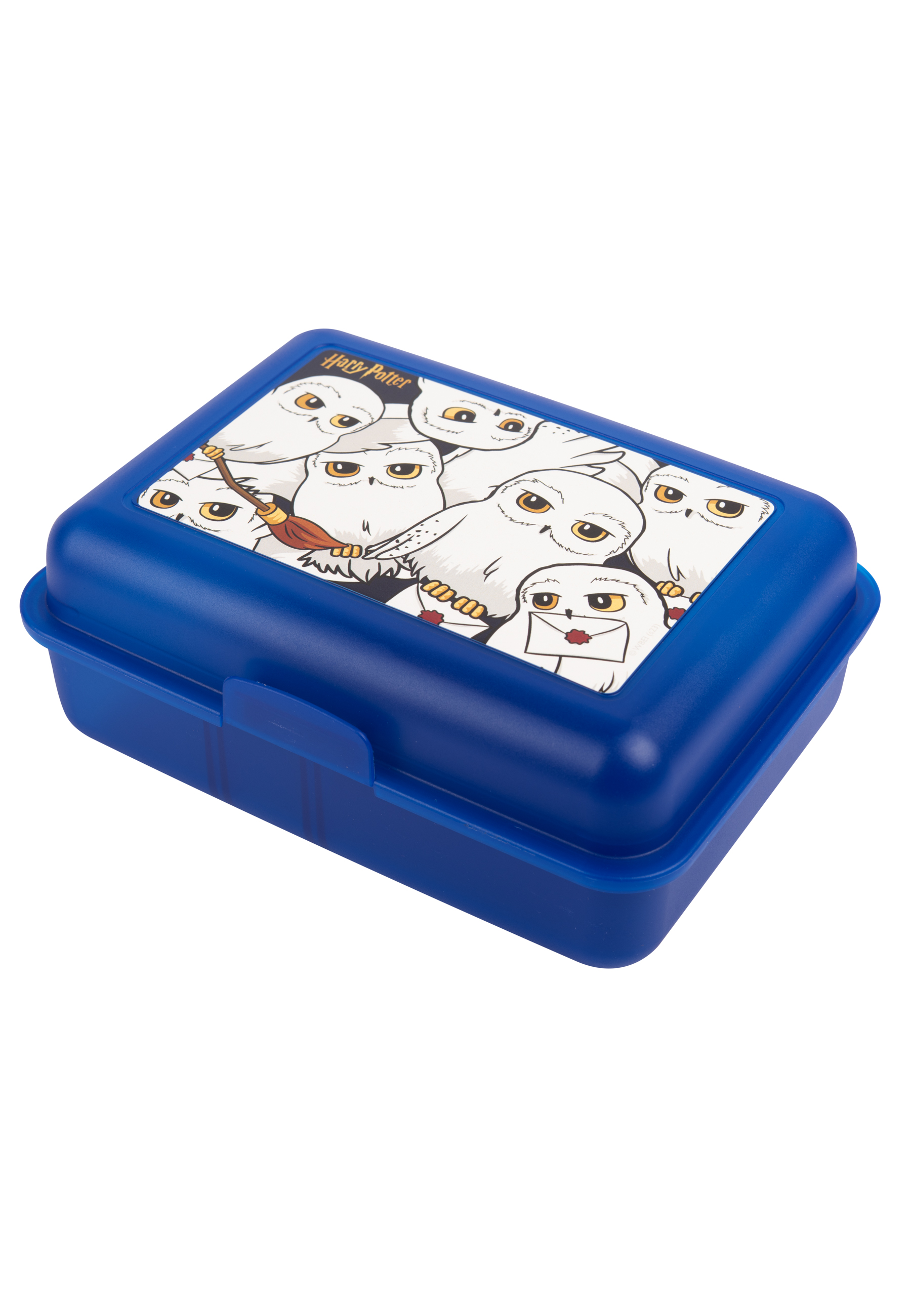 Blaue Brotdose mit Deckel, verziert mit Cartoon-Eulen aus Harry Potter.