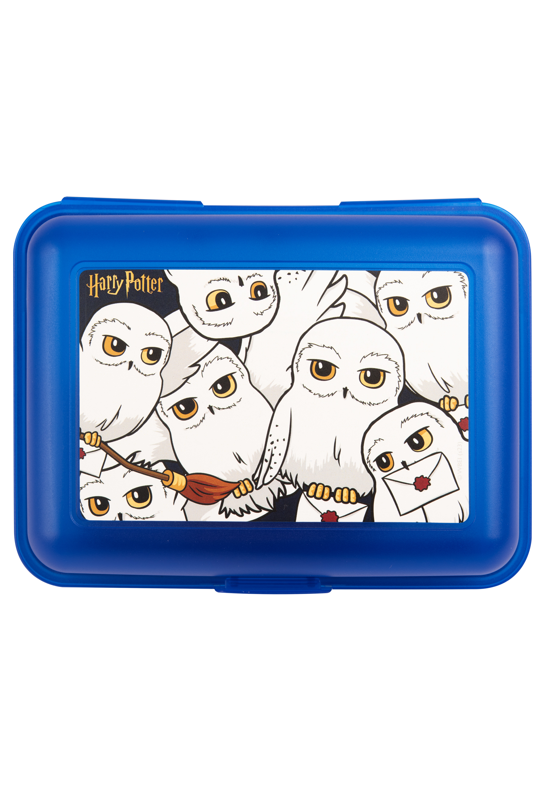 Blaue Brotdose mit Harry Potter Eulen-Illustration. Die Box ist geschlossen.