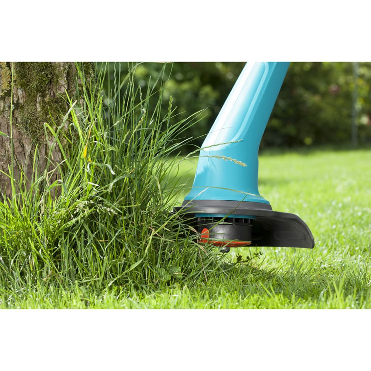 Ein hellblauer und schwarzer Rasenkantenschneider schneidet Gras in der Nähe eines Baumes.