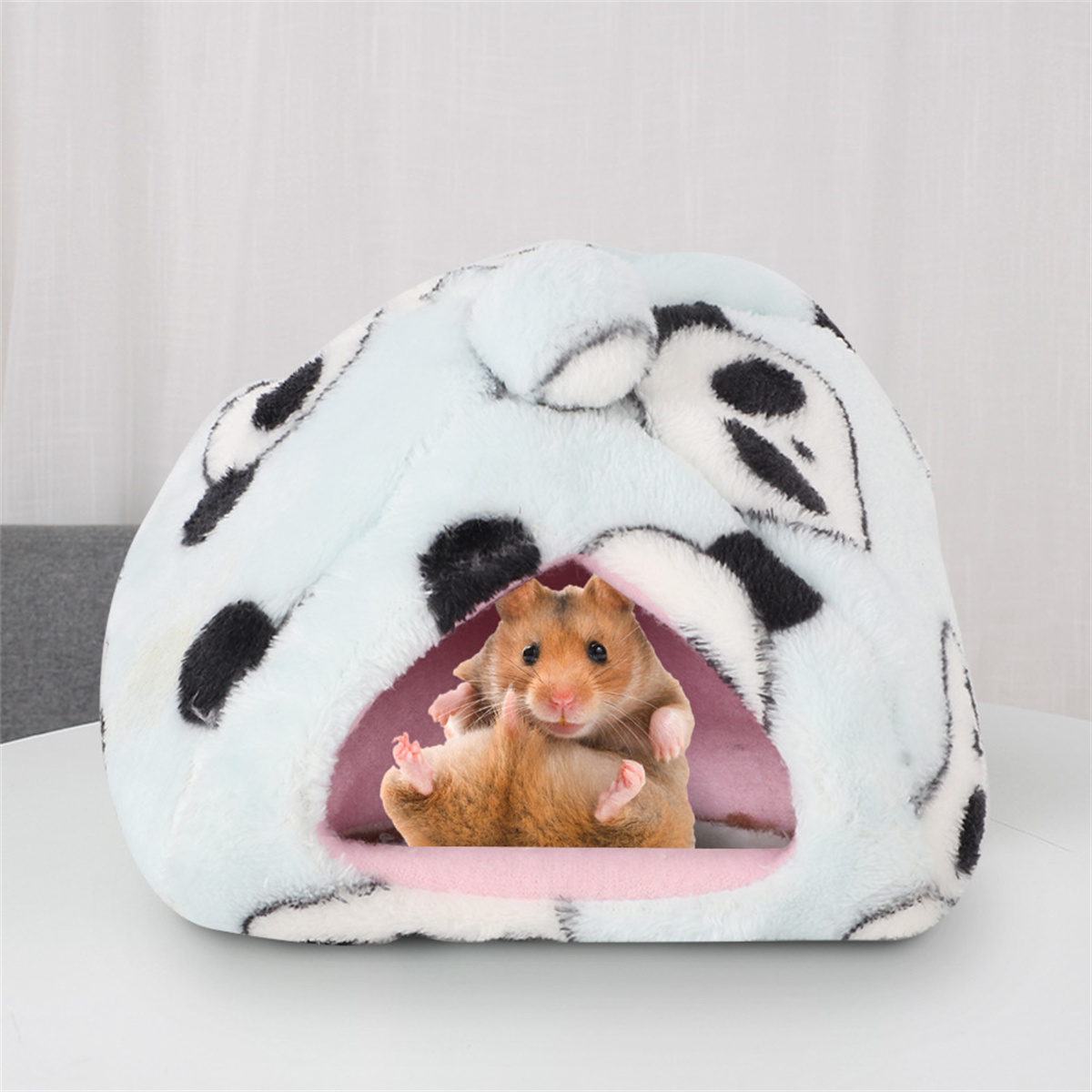Hamster in einem blau-weiß gepunkteten Haus, schaut in die Kamera.
