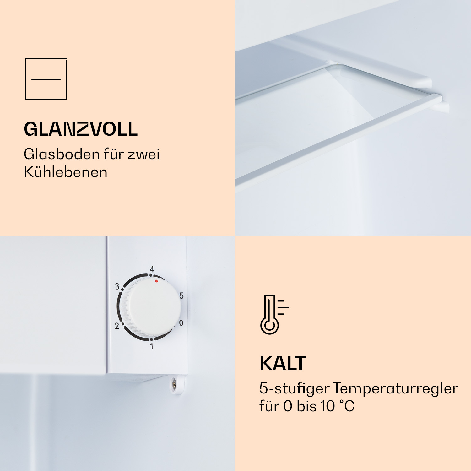 Innendetails: Glasböden, Temperaturregler und Text. Hell und sauber.