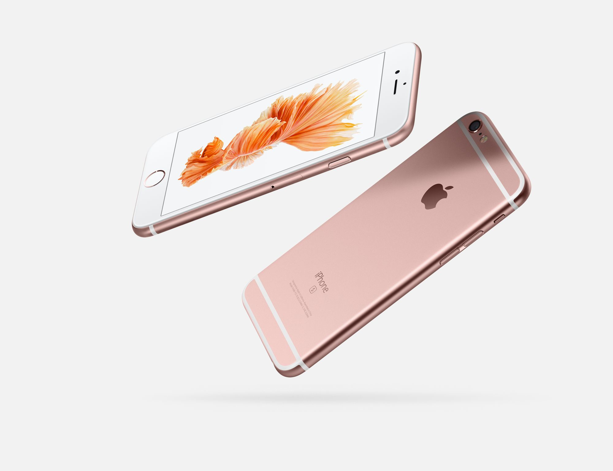 Zwei roségoldene iPhones, eines mit Bildschirm, der ein Blumenbild zeigt.