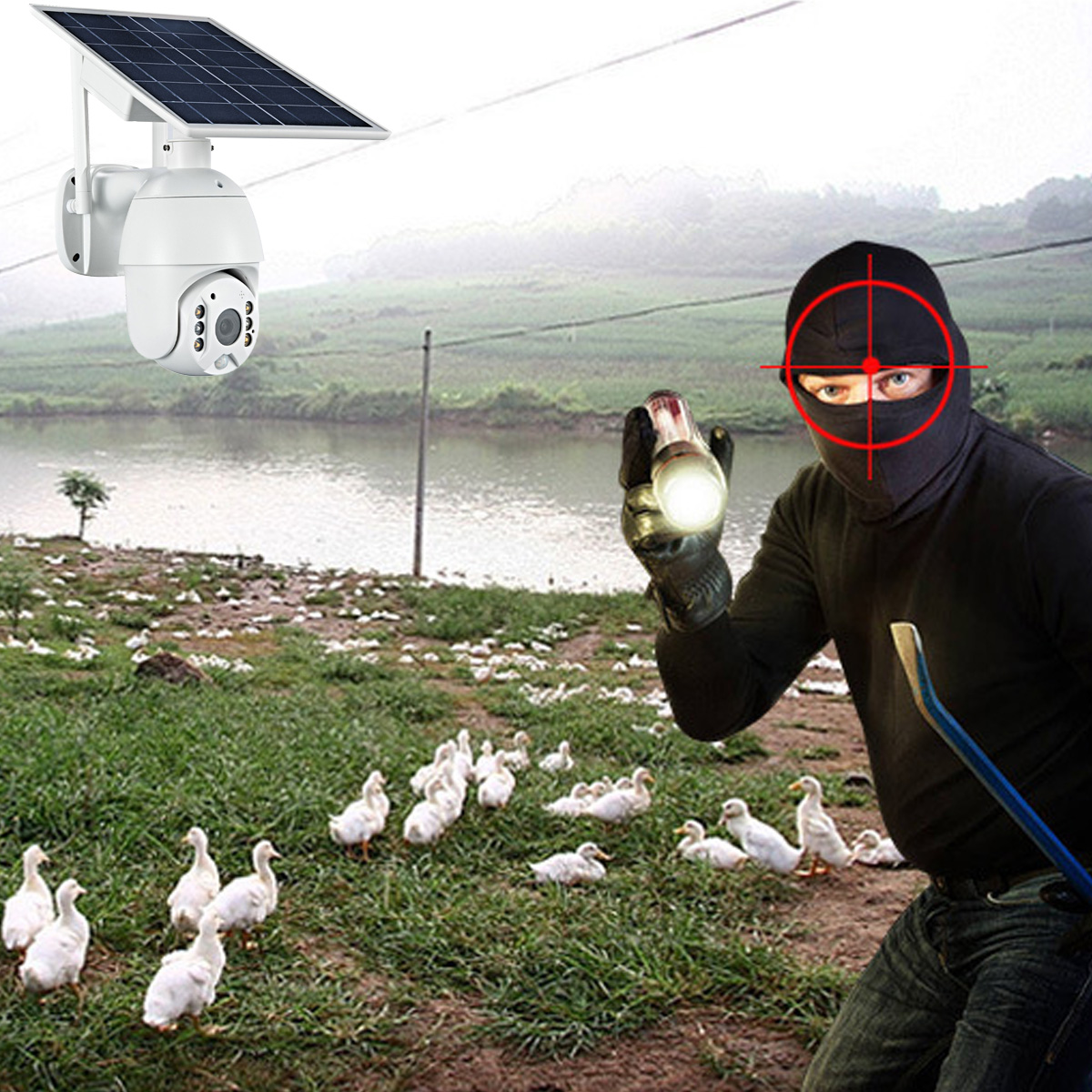 Sicherheitskamera, Einbrecher, Enten auf Wiese, Solarpanel.