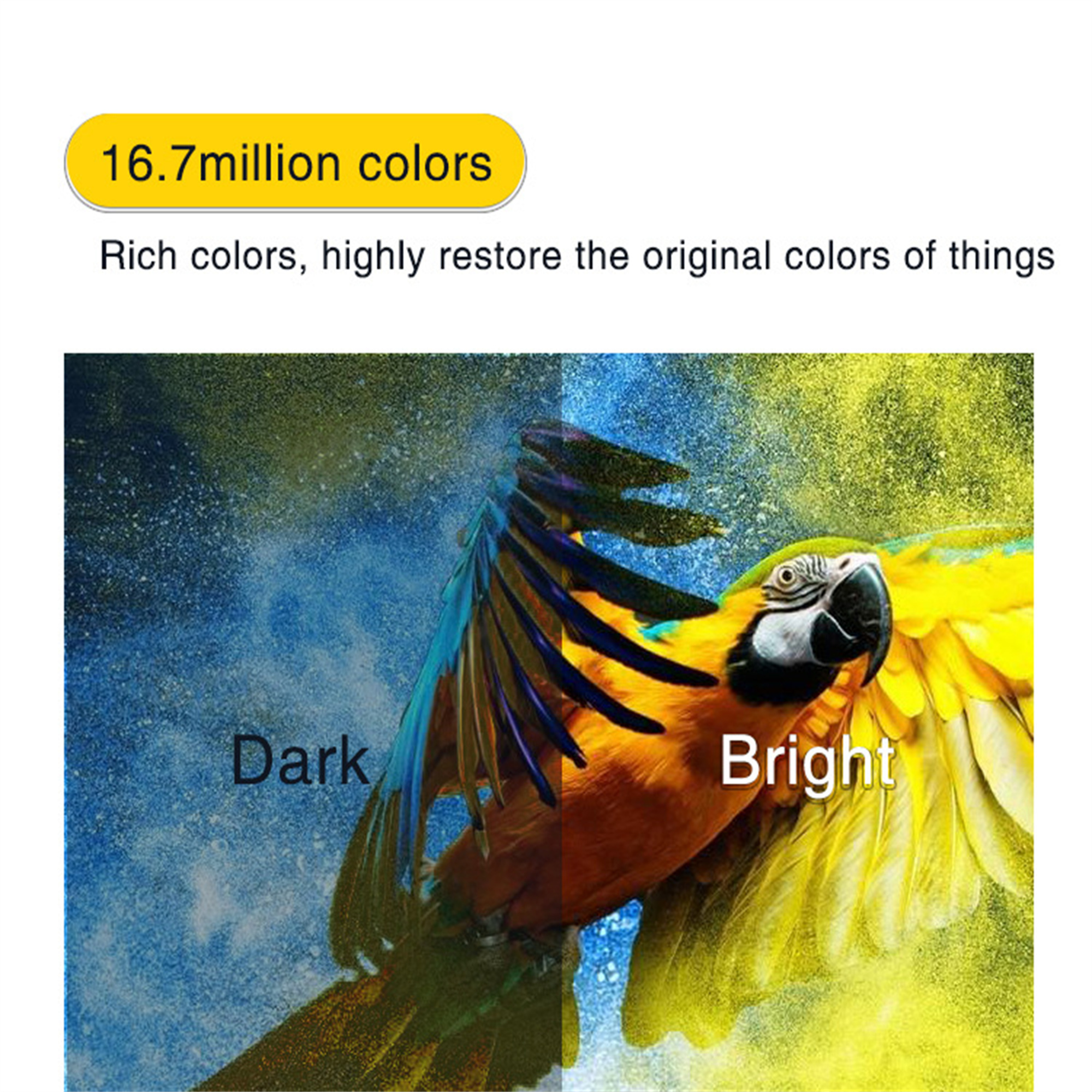 Papagei mit blauen und gelben Flügeln. Das Bild enthält Text mit 'Dunkel' und 'Hell'.