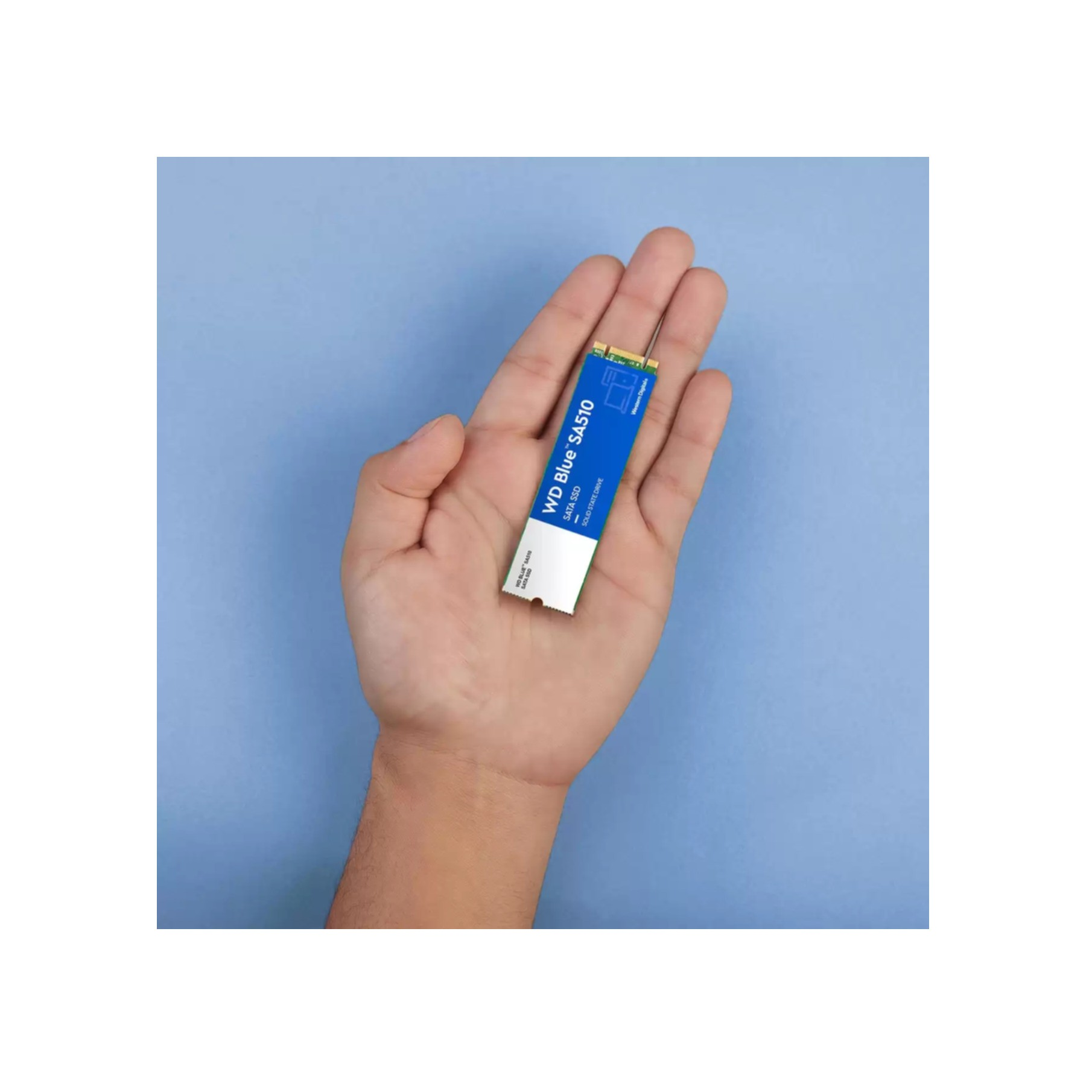 Osoba trzymająca dysk SSD WD Blue SA510. Niebiesko-biała etykieta na górze napędu.