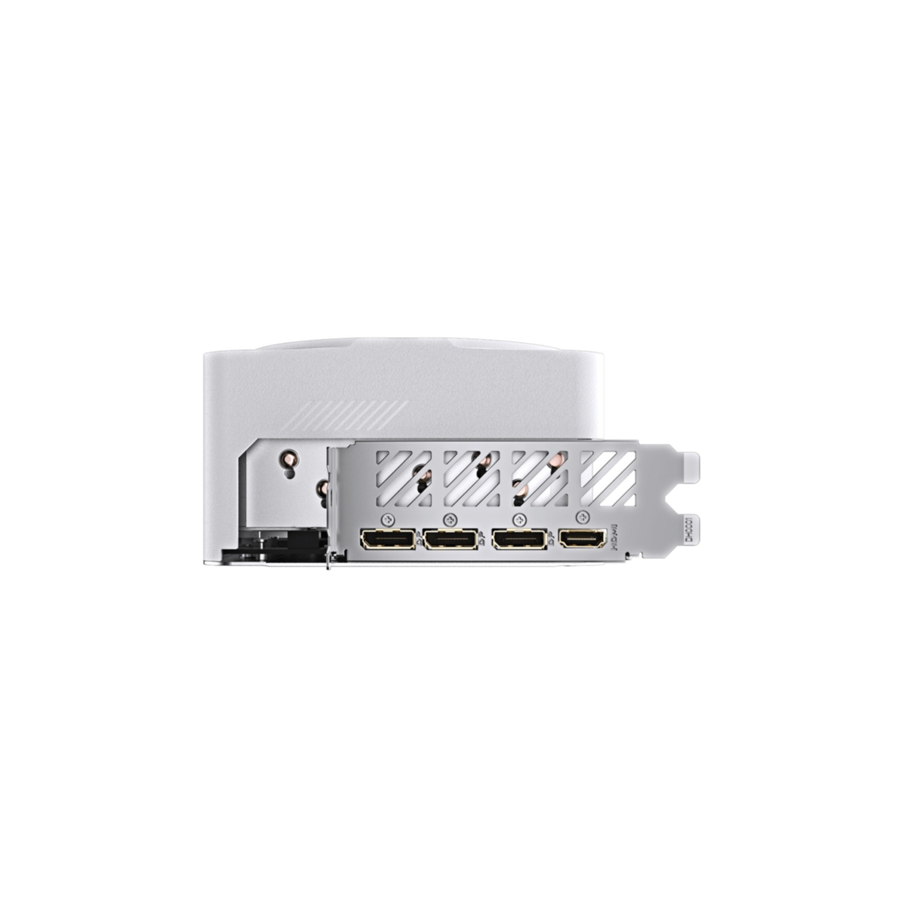 Retro di scheda grafica bianca con più porte visibili. HDMI e DisplayPort.