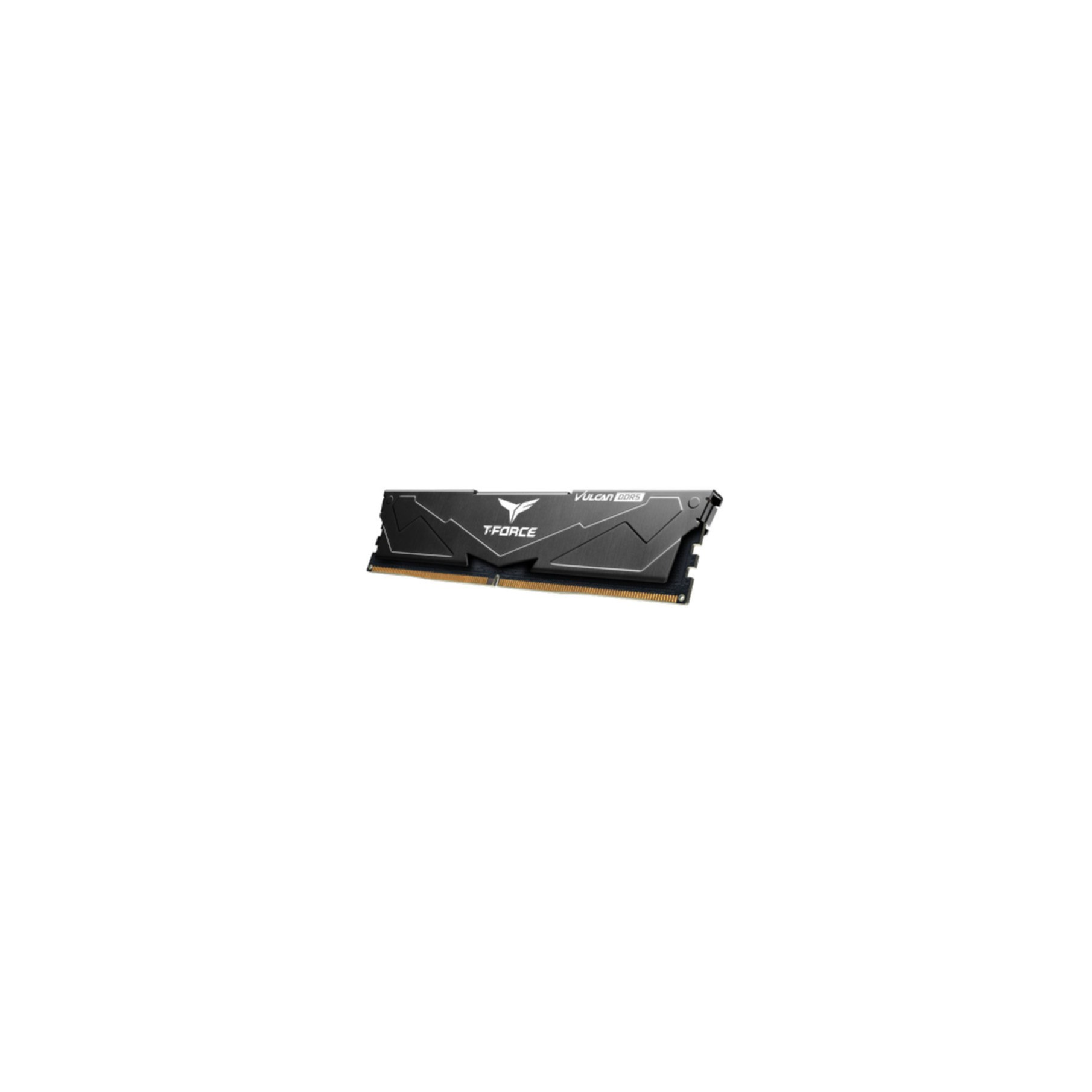 Zwarte RAM-module met zilveren accenten op een witte achtergrond.